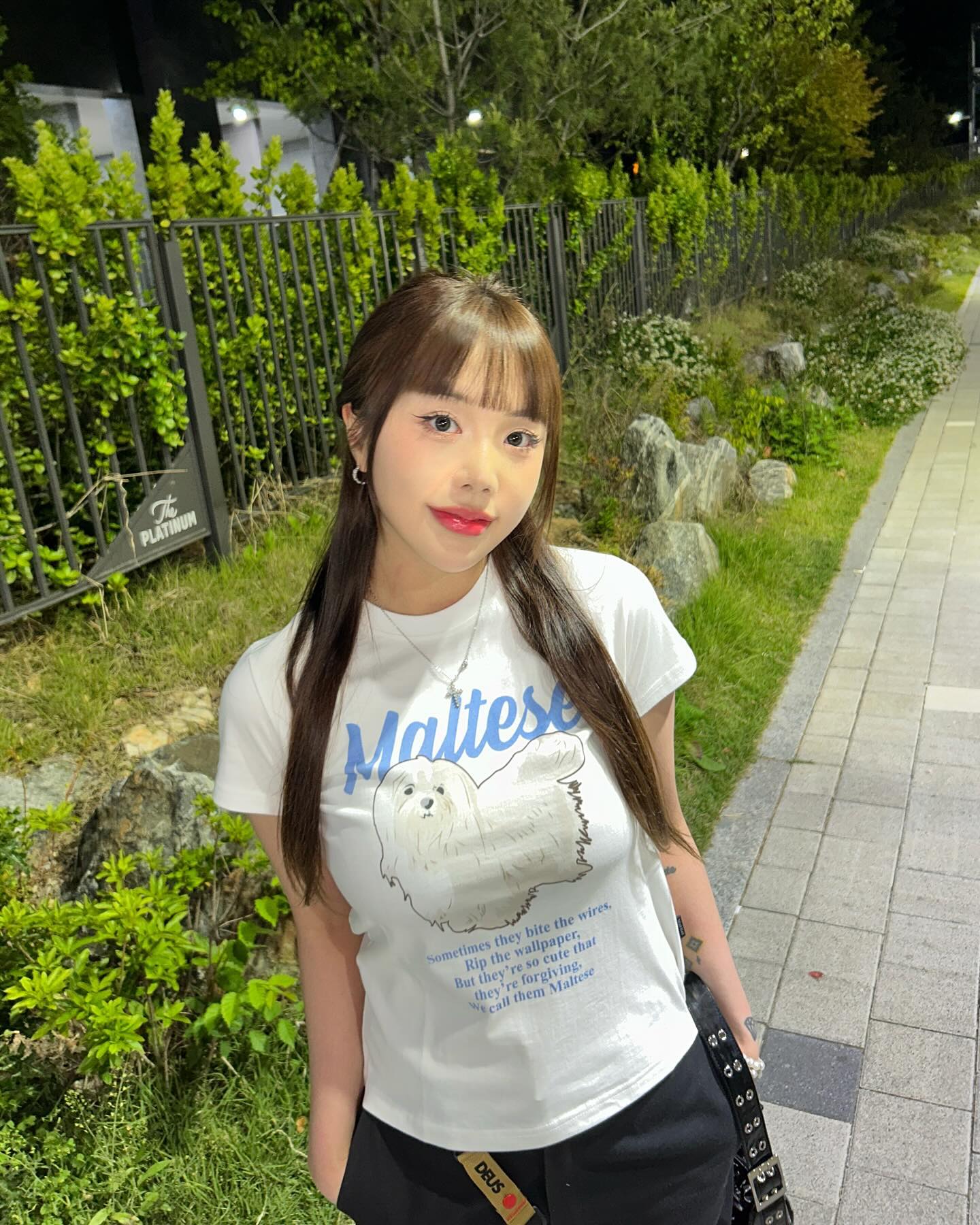 #제품협찬
말티즈가 티셔츠에 박혀 있다니🥰🤍
waikeiofficial 
#WAIKEI #와이케이