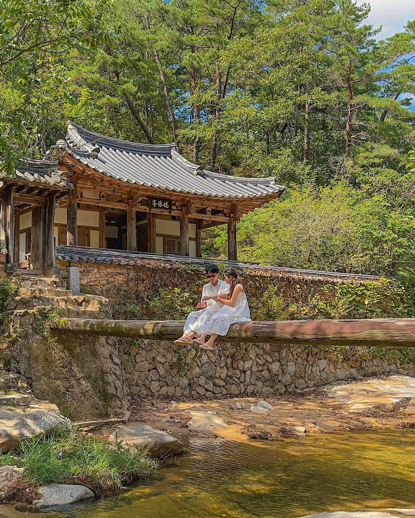 💚 안동 안농 💚