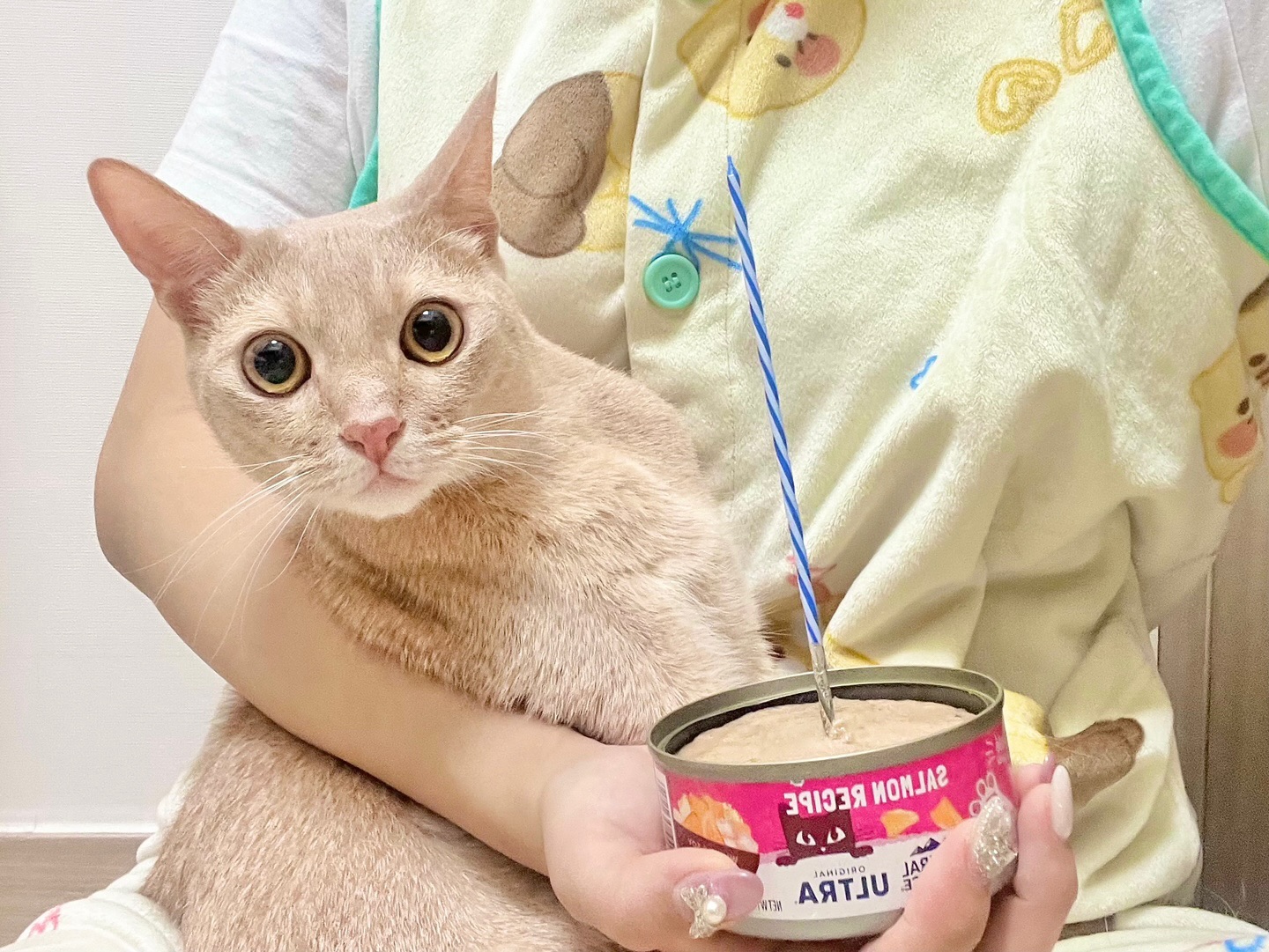 D+1000💗🐱 아비 탄생 천일✨