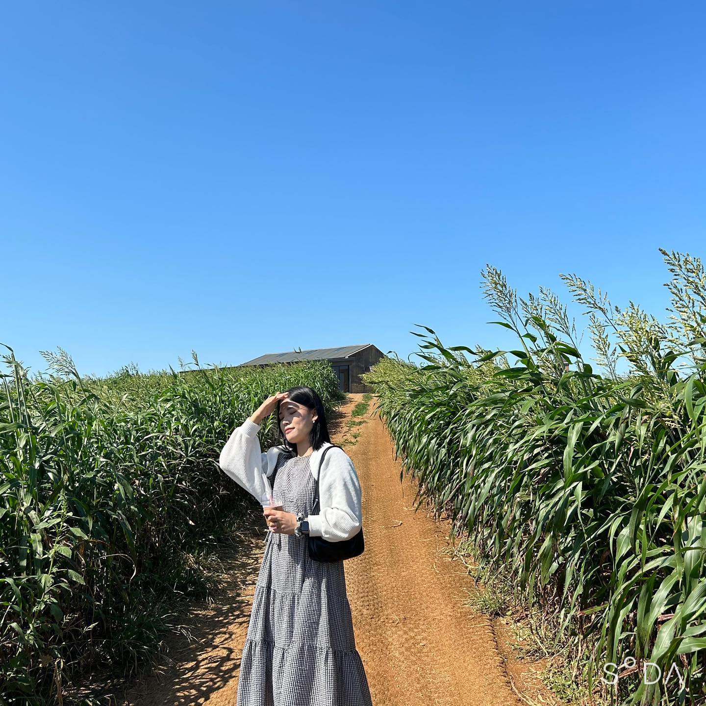 .
먹고 놀고 걷고
푸르르니 좋았다🌈❣️