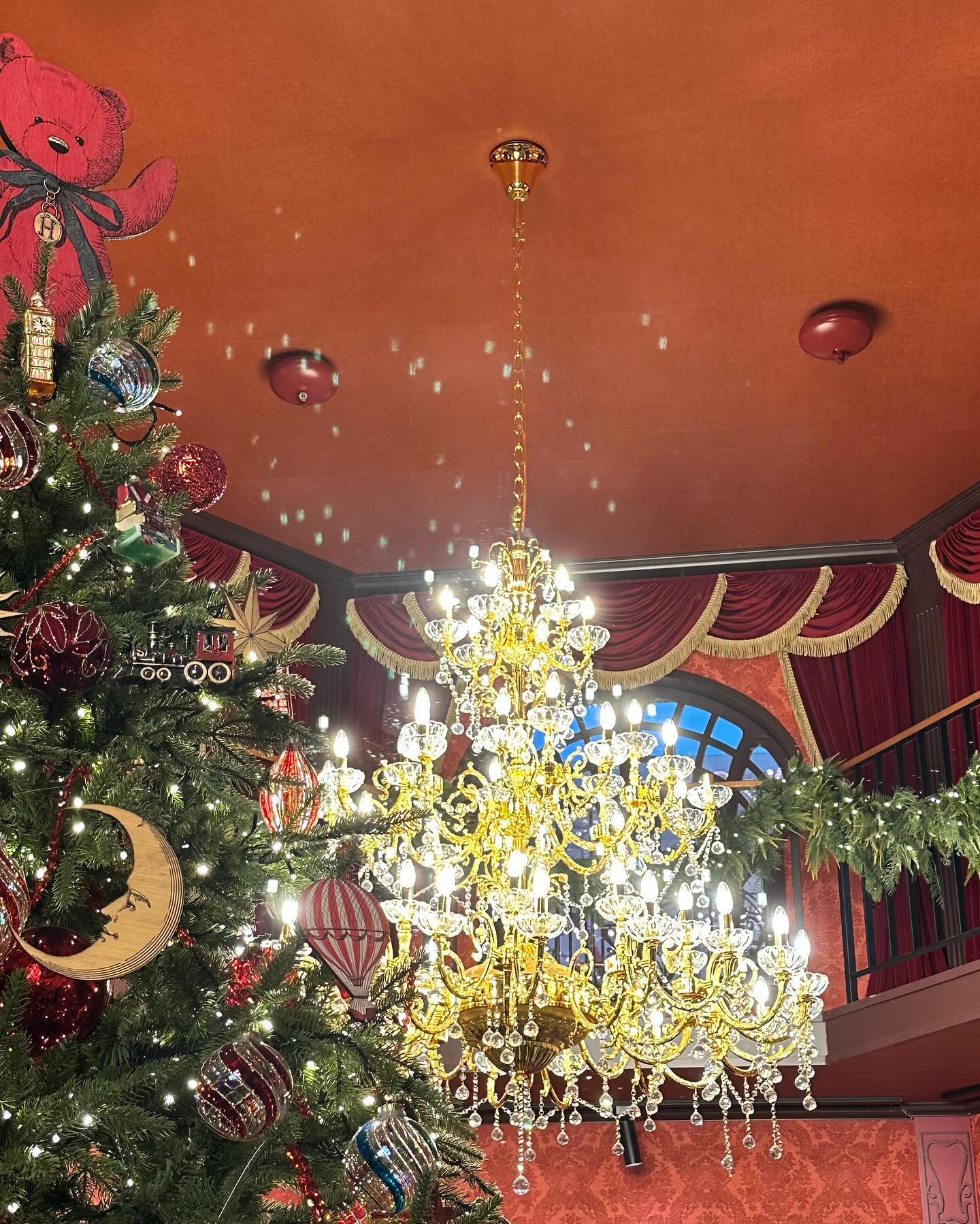 진짜 쿠리스마스는 서산에서 ••• 🎄