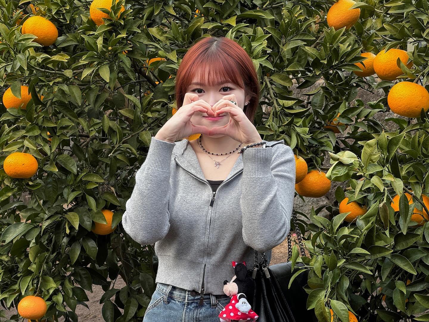 😺🫶🍊