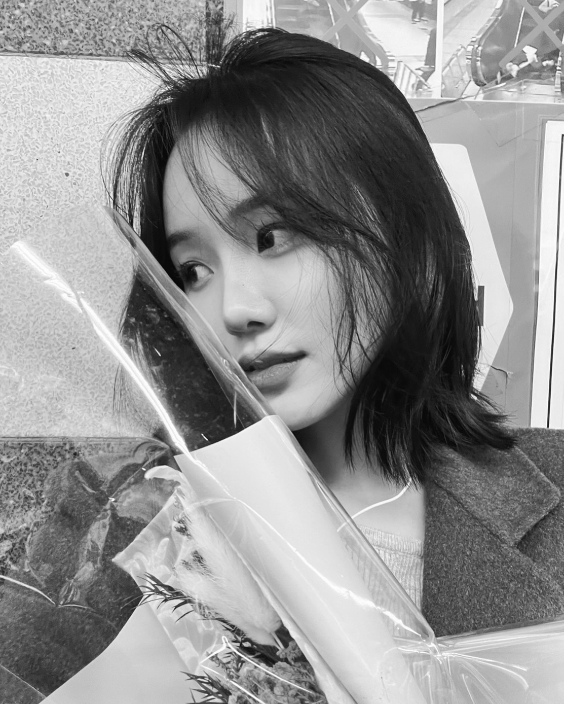 뭘보슈