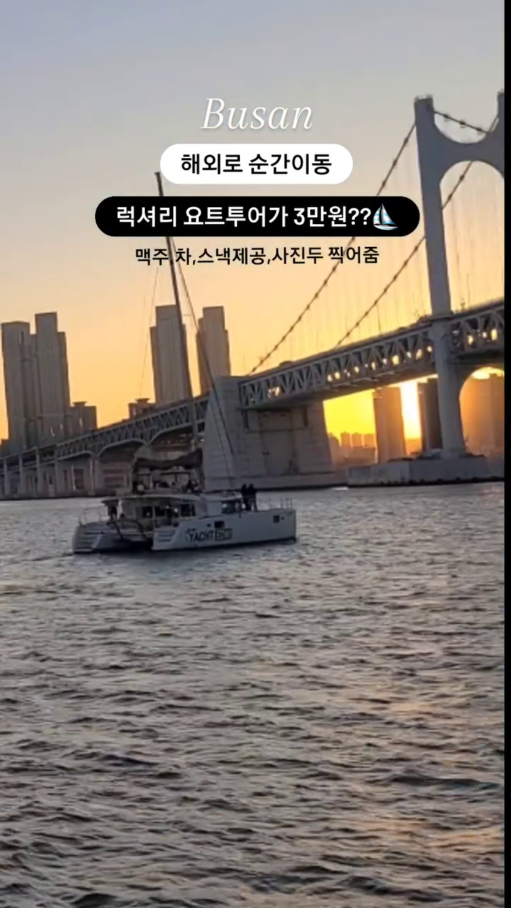 #협찬 ⛵해외여행 앓이중인 분🙋
대리만족 할 수 있는 부산 요트투어 추천드려요!
1월 기준 추천 시간: 5시,6시 
저는 5시 출발 요트를 탔는데 출발할때는
낮이었는데 노란 노을빛이 들다가 
핑크 하늘과 어두워진 주황빛 노을까지
하늘이 변하는걸 보며 바다 멍~해외분위기 만끽했어요.
제가 탔을 때 외국분들이 반이라 오랜만에
영어로 대화도 하고! 맥주도 실컷 먹고 따뜻한차도 마시고
친구랑 힐링 여행했어요. 이번 부산 여행의
하이라이트라고 해도 과언이 아닐정도🤭 게.다.가
🐶 애견동반도 가능! 애견 입장료 무료!
반려견과 인생샷 건지러! 커플들의 특별데이트로
우정여행, 모녀여행 으로 추천드려요!

✔️프리미엄 요트투어 성인 30,000 소인 20,000
✔️웰컴 드링크(차,맥주), 스낵, 담요 제공
✔️불꽃놀이 & 사진촬영 서비스 (야간시간대)

저는 사장님 추천으로 가장 예쁘다는 5시 승선했고
직원분께서 예쁘게 나오는 타이밍에 인생샷을 계속 찍어주셨어요💛
해외여행 못가서 여행앓이중인 분들
요트홀릭과 함께해요!

▪️요트홀릭 yachtholic yachtholic.j

• 연락처 : 1600-9673
• 영업시간 : 09:00-23:00
• 위치 : 부산 해운대구 해운대해변로 84 요트홀릭

#부산가볼만한곳 #부산요트투어 #요트홀릭 #가성비데이트코스 #부산데이트 #busanyacht #busantrip #busantour