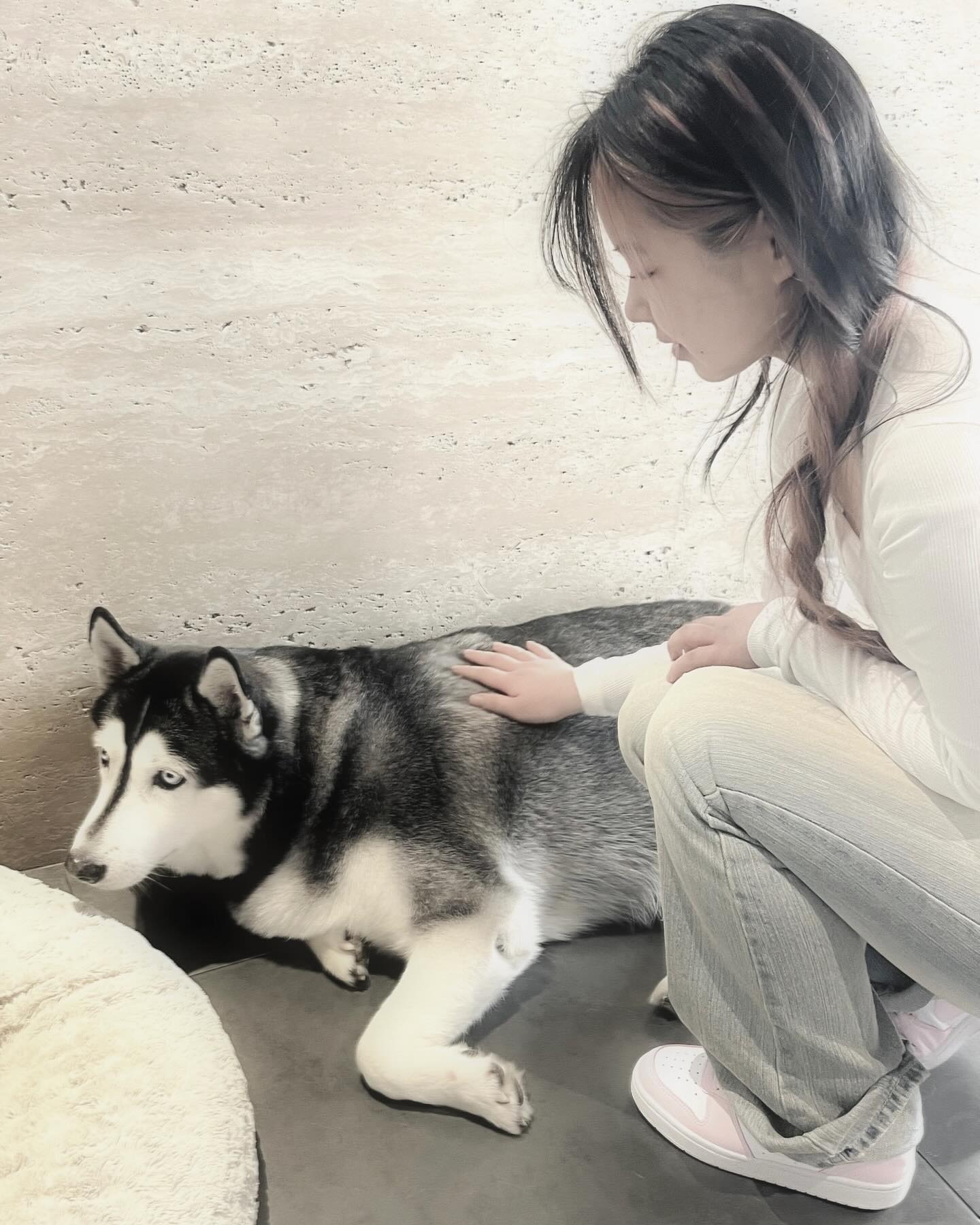 강아지ㅎㅎ