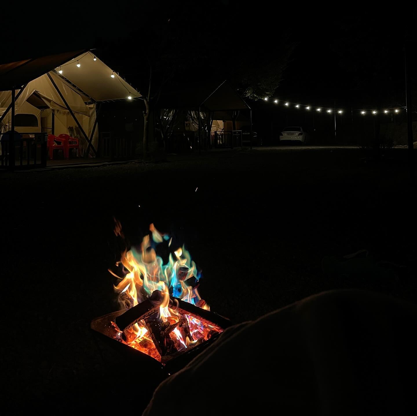 🔥🪵🏕️🍗