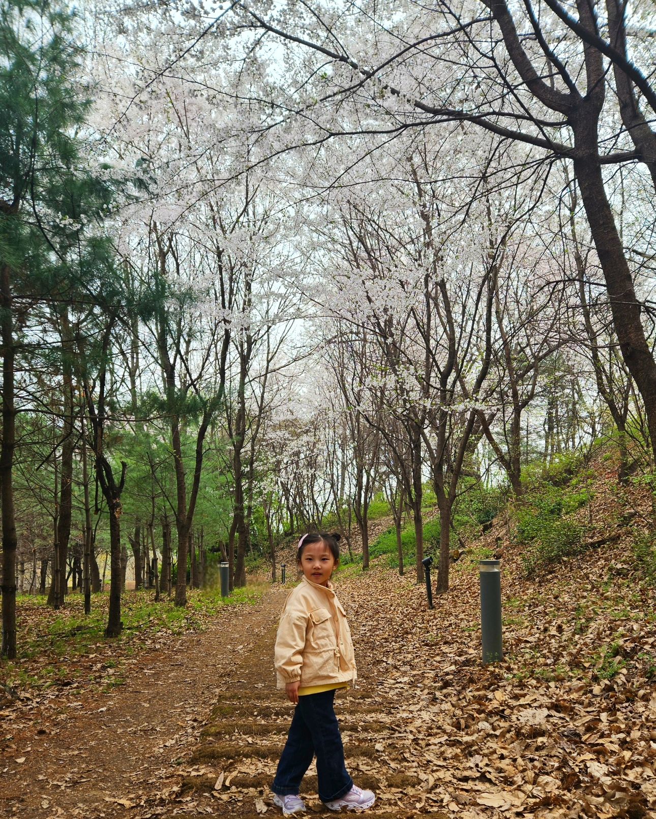 ⁣
#벚꽃 즐기기:)⁣
⁣
집앞 공원가서 도시락이나 까먹고 놀다 오자~라는⁣
가벼운 마음으로 공원에 왔는데 예쁜 🌸벚꽃길도 만나고⁣
⁣
집에서 싸간 유부초밥이랑 이모가 사온 김밥 먹으면서⁣
정자에서 봄 꽃 구경하면서 간식도 먹고 커피수혈도 하고⁣
⁣
사람들이 많이 없어서 여유있게 🌸봄을 만끽하고 왔네:)⁣
⁣
⁣
⁣
🏷유주 #ootd bebezoo_korea⁣
⁣
⁣
⁣
⁣
⁣
#주말#꽃놀이⁣ 
#공원#피크닉