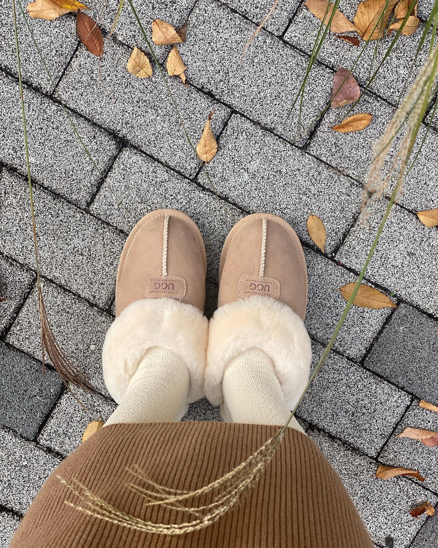 겨울 준비 끄읏:)☃

#ugg #오즈웨어 #어그슬리퍼 
#겨울뮬 #털슬리퍼

어그슬리퍼 사이즈 및 코디 후기는 블로그에❣️
https://m.blog.naver.com/sinbloger/223253314145