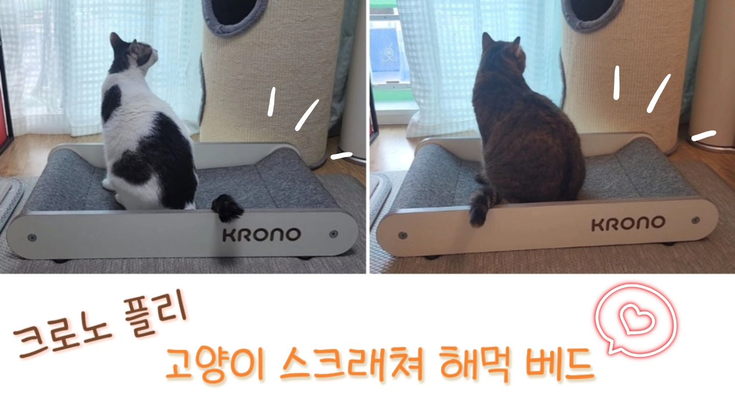 #협찬 #제품제공

☆ 크로노 플리 고양이 해먹 스크래쳐!!
.
해먹~ 침대~ 쇼파~ 스크래쳐~
다양한 활용과 스크래칭과 휴식이 가능한~!! 🤗🤗
.

바닥에 닿지 않는 팽팽한 카페트의 해먹 공간 ✔️
편하게 머리를 기대고 누울 수 있는 베개 공간 ✔️
스크래칭과 휴식이 가능한 해먹 스크래쳐 ✔️
길이 70cm와 폭 40cm로 넉넉한 공간 ✔️
먼지 날림이 적고 내구성이 강한 교체 가능한 카페트 ✔️
모던할 걸러로 어디에나 어울리는 디자인 ✔️
친환경 E1 등급 보드로 튼튼한 내구성 ✔️
.

넉넉한 사이즈라 5.4kg 단추가 누워도~
자리가 거의 반 정도 여유가 남는다!! 

착한 보리언니 덕분에~

크로노 플리 고양이 해먹 스크래쳐 베드는 당분간 단추 독차지!! ㅎ ㅎ 
☺️☺️
.
.
#크로노#크로노플리#크로노스크래쳐#크로노해먹#크로노침대#크로노쇼파#크로노고양이해먹#크로노고양이침대#크로노고양이쇼파#크로노플리스크래쳐#크로노플리해먹
#크로노플리침대#크로노플리쇼파#고양이스크래쳐#고양이해먹#고양이침대#고양이쇼파#고양이캣타워#고양이숨숨집#고양이집