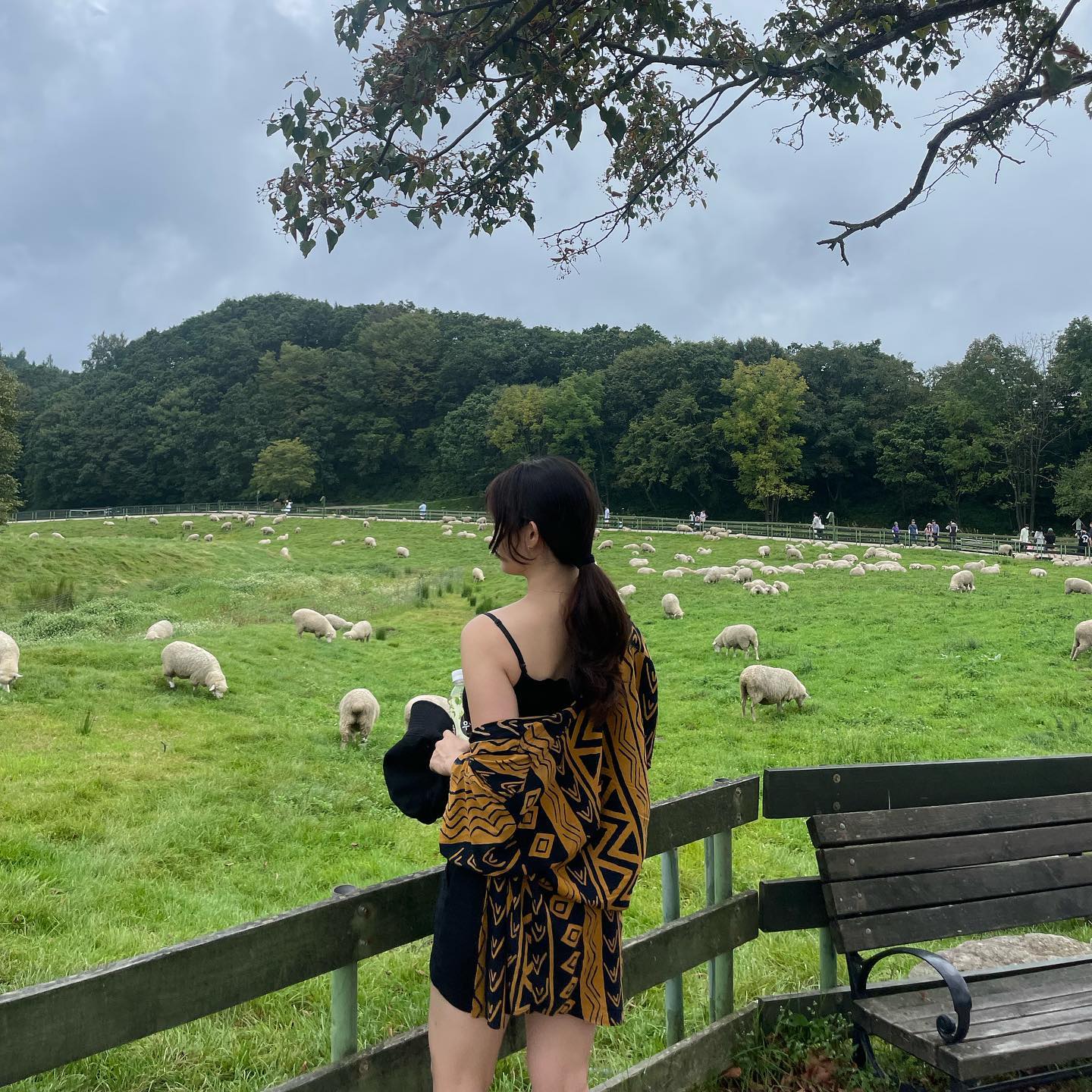 🐑🐏❔

#강릉 #강릉여행 #국내여행 #대관령 #양떼목장 #대관령양떼목장 #평창 #양 #자연 #sheep #pasture #park #korea #koreatravel #green #nature