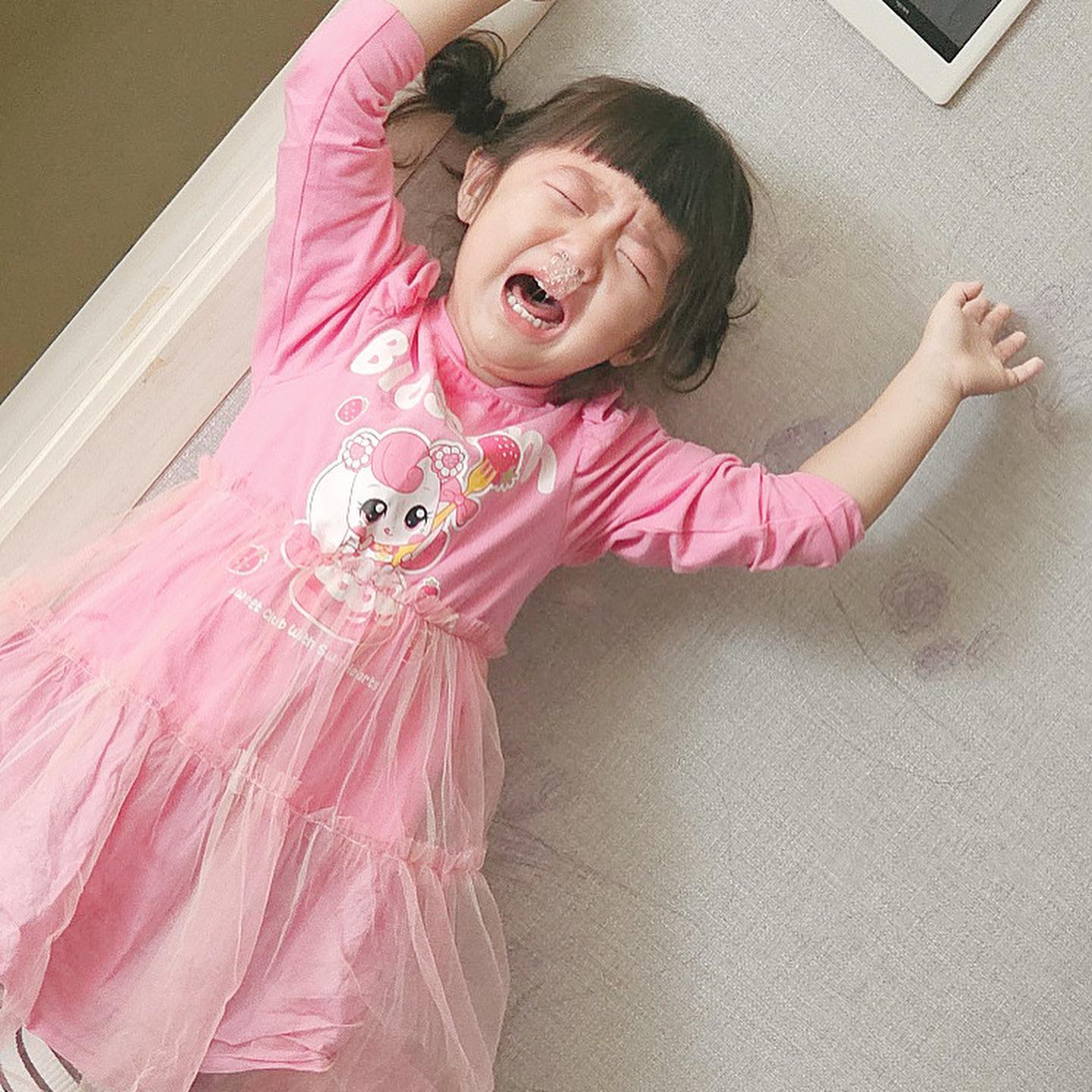 우당탕탕 옹심이의 하루ଘ(´•3•)⊃━☆