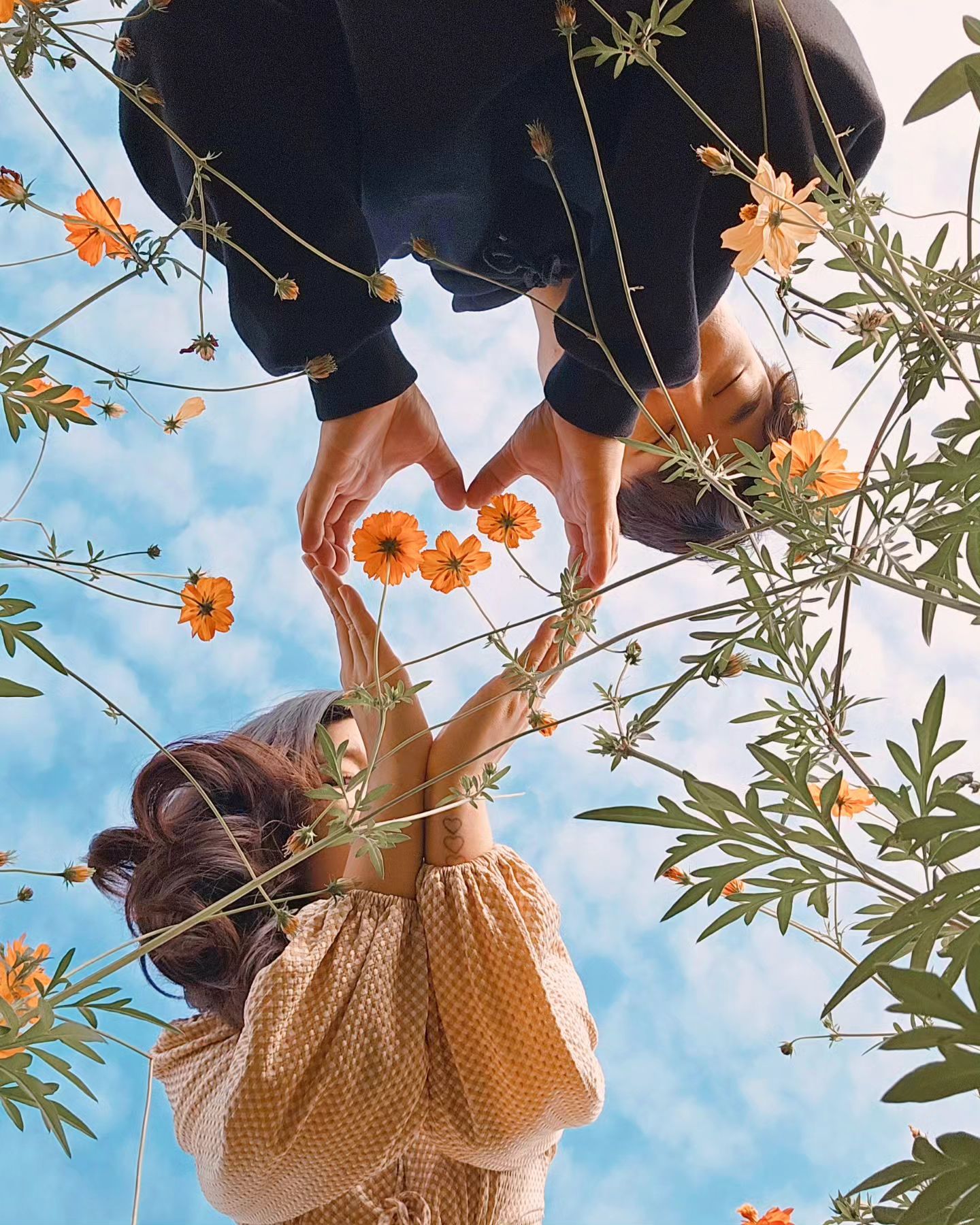 🌼🧡🌼
-
#한밭수목원 #대전한밭수목원 #코스모스 #황화코스모스 #대전코스모스
