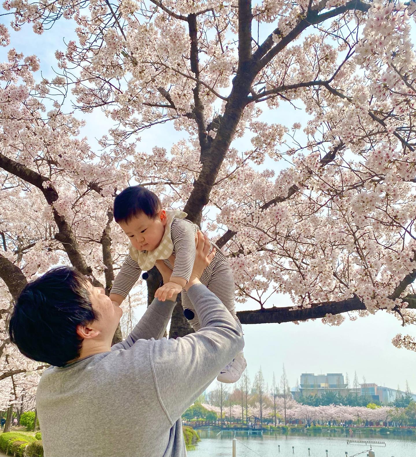 _
찬이 9개월 인생 첫 🌸꽃놀이
찬이랑 아빠랑 내년엔 손잡고 걸어서 놀자 ♥️

#김해 #연지공원 #벚꽃 #꽃놀이 
#극한직업_찬이아빠_람이남편 😋
