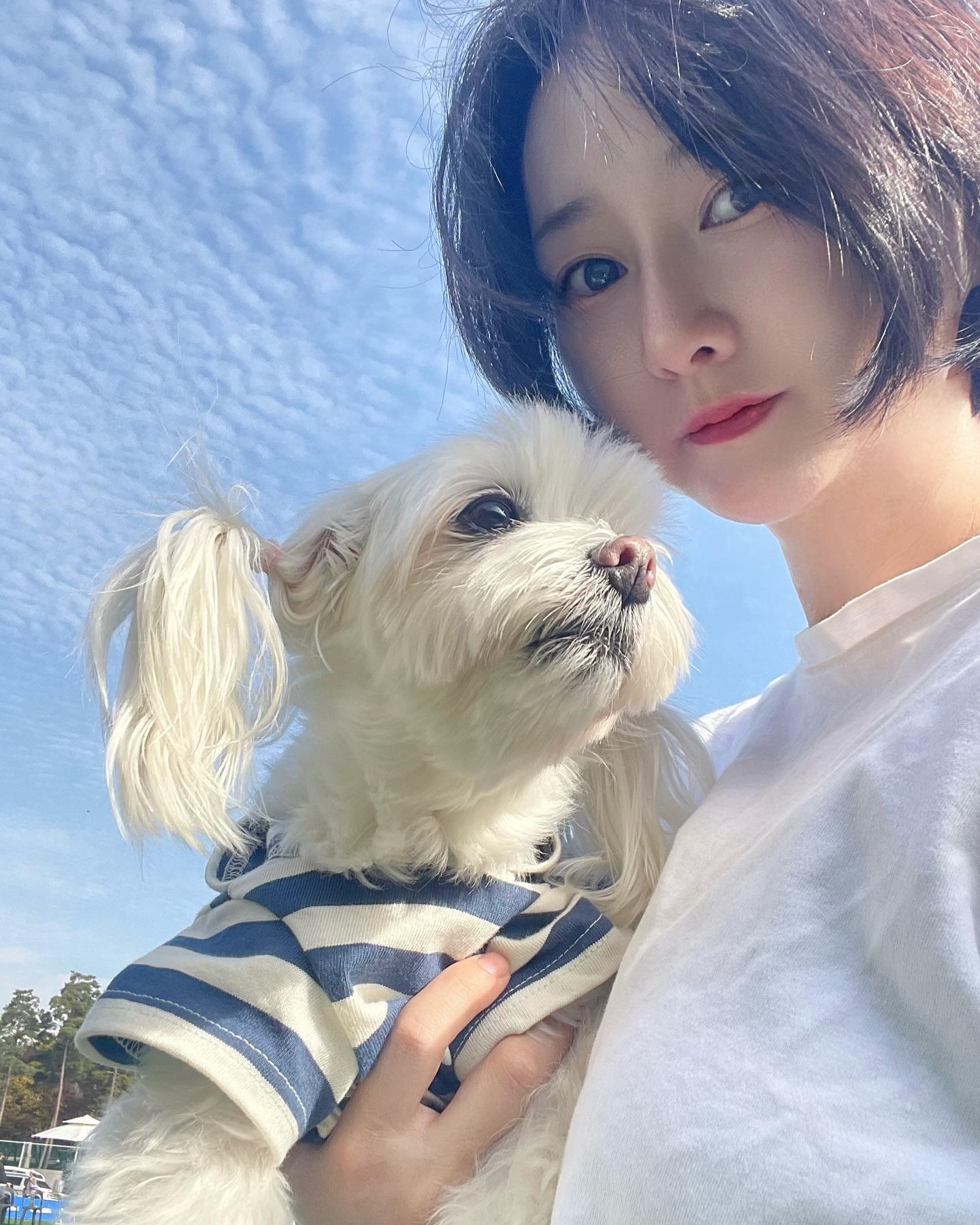 두부랑 즐기는가을🍂🍁!! 사람이운영하는계정입니다 #사람이운영하는계정 #계정주인사진투척 #가을끝인가 #두부계정 #말티즈#말티즈는참지않아#포토샵주의