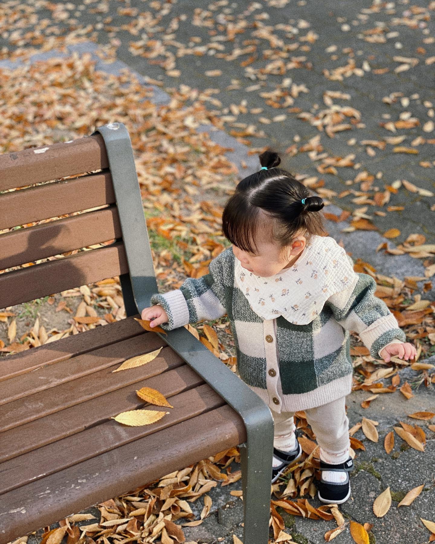 아침 산책
눈 돌리는 모든 곳이 가을
추운 겨울이 오기전에 많이 다니자