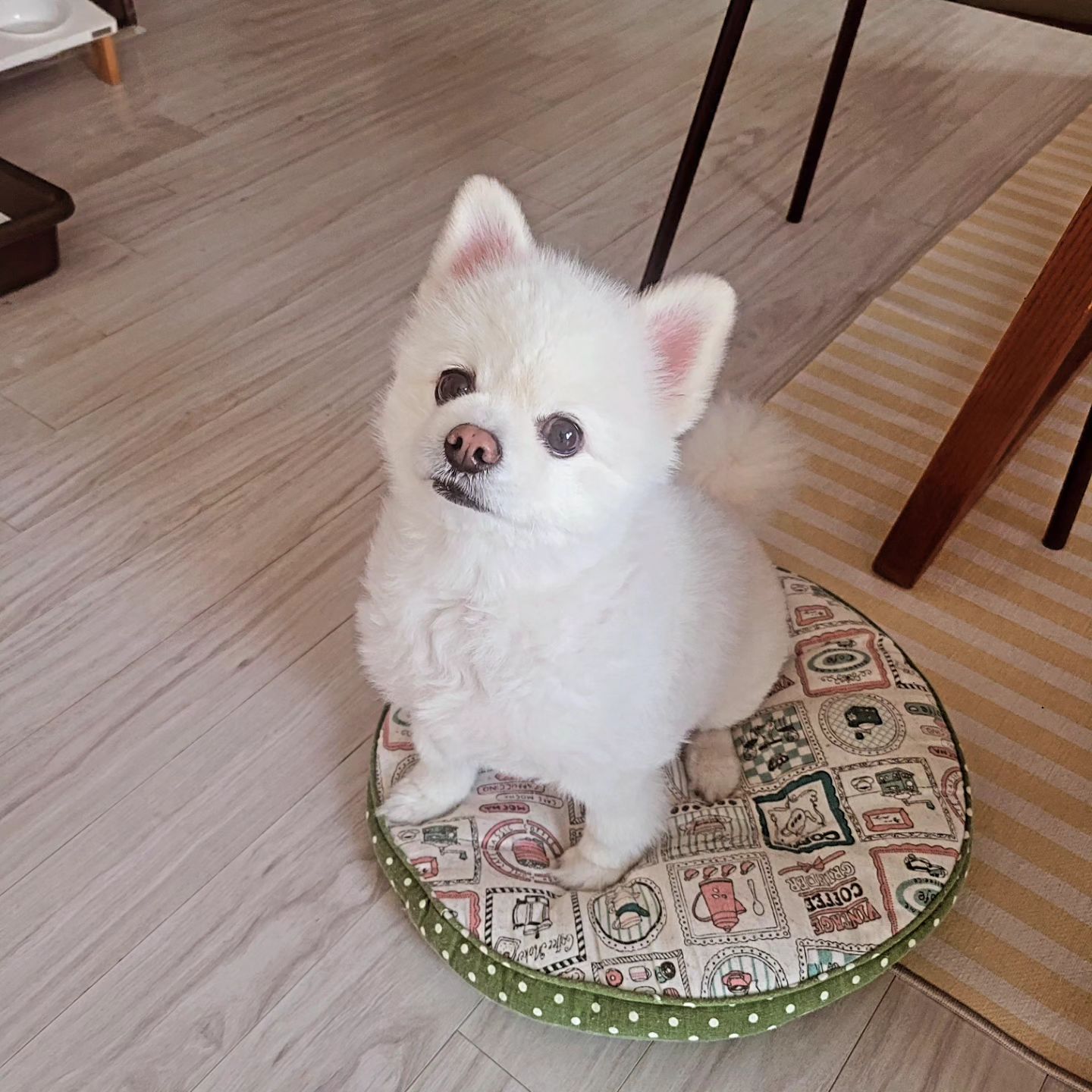 #G10_심X람
#연합기도회
#과천가는날
#토요일#헤이븐
#연합예배#오전10시

오늘은 3월23일..
오전10시..일찍준비한다고 서둘렀는데..
예상과 달리 정확히 10시도착..ㅋ오차없음ㅋ

빈틈없는자리..

연합예배.반별기도회.반모임까지..

날은 어찌나 더운지..핫도그되는줄
찐~~봄였다..

5월25일도 가야는데..
나 벌써 더위 테러..한 몸에..!

오늘은 혼자 더운거 아니라..대놓고 부채질.
이젠 손수건 필수각..
부채질하느라 정신없구 새로운 부모님들과는 짧고 굵게
대신 난 2차 다른팀과  1시간 더 나눔하고 오는내내
어지러워서 골골골..!

역시 돈버는게 낫네..

정보 없어요. 그래서 공유할 것 도 없어요.
아는거 없어요..
묻기도전에 아무것도 모르는 여자..ㅋㅋㅋ
물어보면 답없는 여자..
생각보다 쿨해요..
관심없음 모르는거로..

앞으로 5월25일..더 덥겠다..