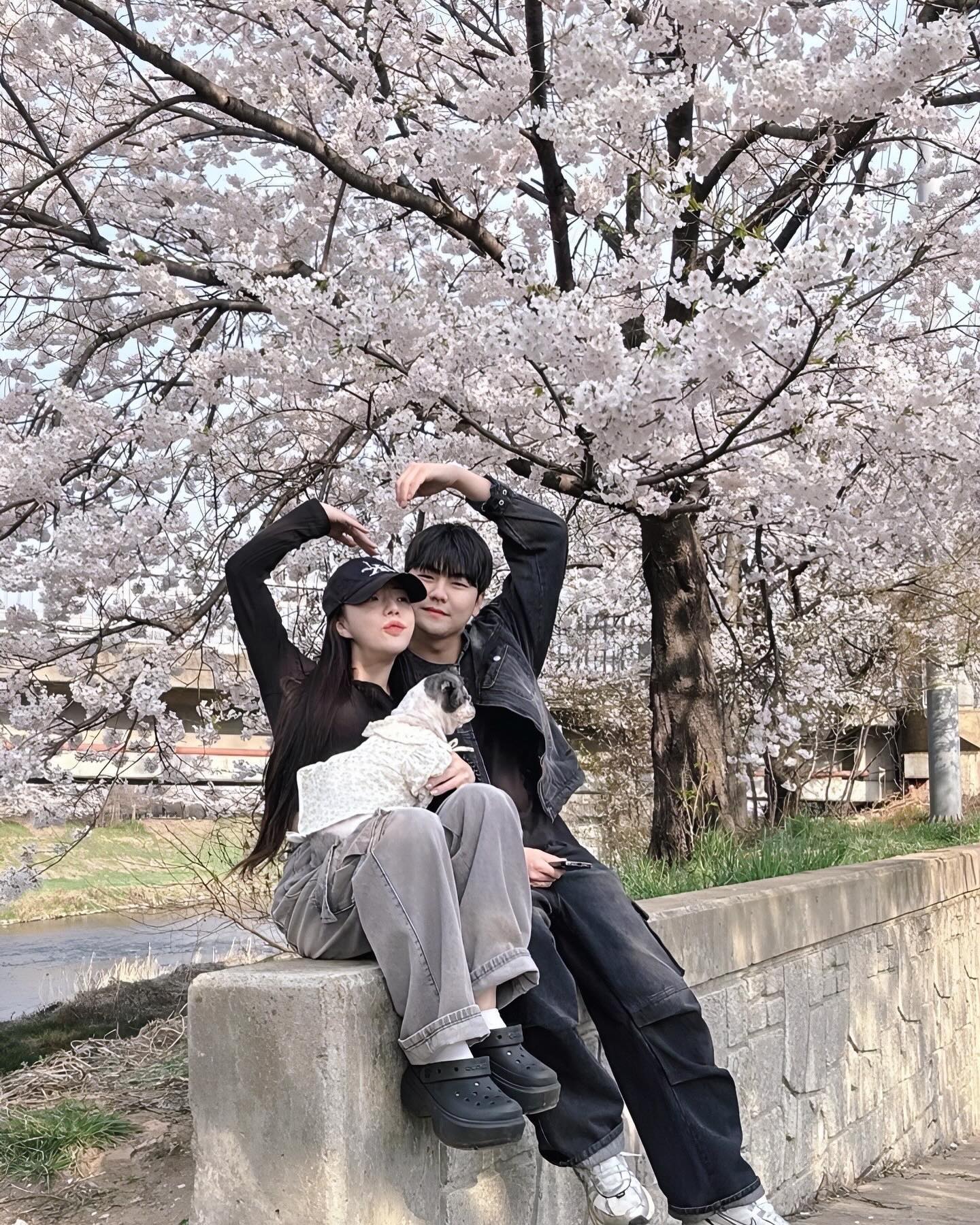 🌸가족나들이 팝콘구경 two🌸

#주말데이트 #벚꽃구경 #럽스타그램 #애견스타그램 #좋아요