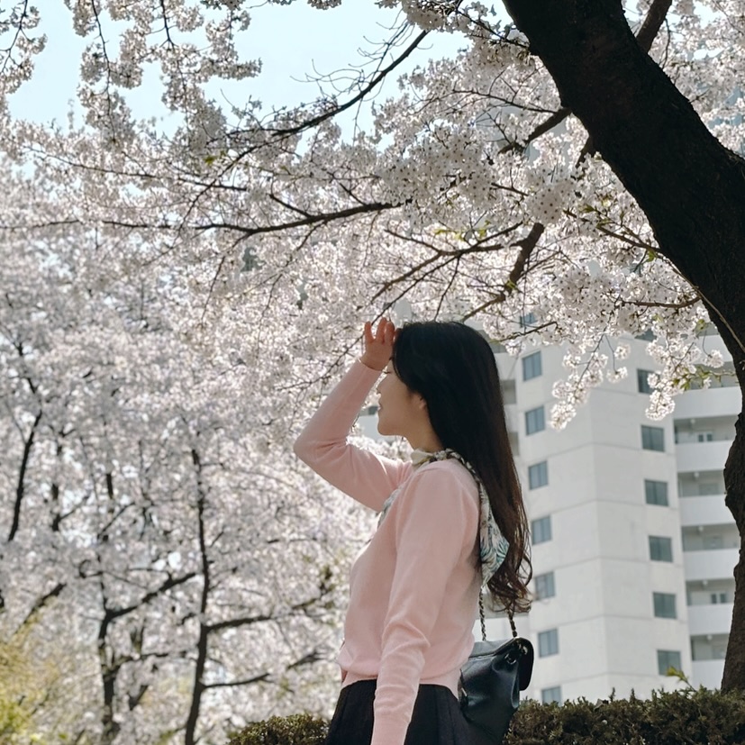 딱 하나 남긴 봄사진🌸
비록 아파트 단지에서 찍었지만 그래도 이쁜 봄