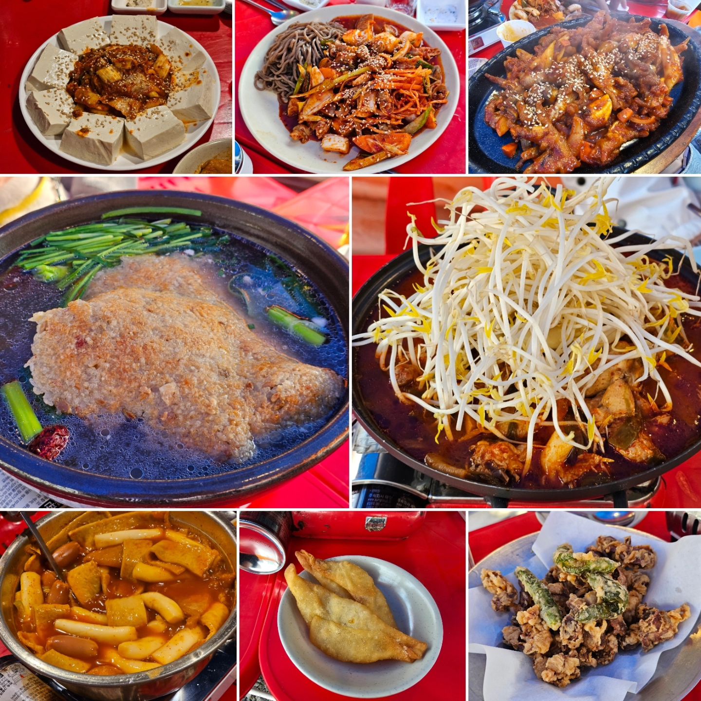 가성비 짱짱 #방학동가든포차어베지 

연중행사?로 돌아가며 집에서만 모이다가 
날이 좋아서 처음으로 밖에서 모였는데 좋구만
집에서 버스 한번에 갈 수 있는데다가 정류장이 포차 바로 앞!
주차도 가능하고 강아지들 동반입장도 가능하고
안주도 완전 저렴해서 그냥 막 진행시켜버림ㅋㅋ
일행끼리 천막 하나를 단독으로 사용하니 맘도 몸도 편하고👏👏

#누룽지백숙 #닭볶음탕 #두부김치 #똥집튀김 #무뼈닭발
#골뱅이소면 #우동 #국물떡볶이 #야끼만두

일찍 만났는데 궁디 쥐 날때까지 놀았네🤣🤣
덕분에 앉아서 졸다가 주무신 강아지님
열심히 댄스타임 보여주시다가 돗자리 깔고 휴식하신 공쥬ㅋ

날 넘 더워지면 선풍기 켜도 더웠던 기억이 있어서
지금 딱 열심히 더 가야되는데ㅋ
낮부터 밤까지 잘 놀았던 날😍
ㆍ
ㆍ
#방학동가든포차 #가든포차 #야장 #도봉핫플 #방학동포차 #야외술집 #단체모임 #벚꽃지기전 #아직도내눈엔여고생들 #먹스타맞팔 #먹스타그램