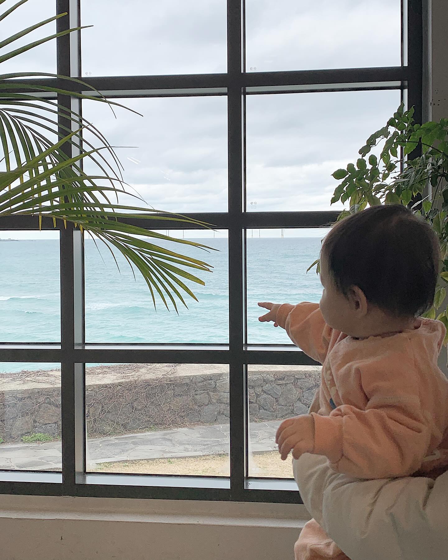 가족들과 즐거운 제주 여행 기록🤍🥰

#제주여행 #아기랑제주도 #12개월아기 #가족여행