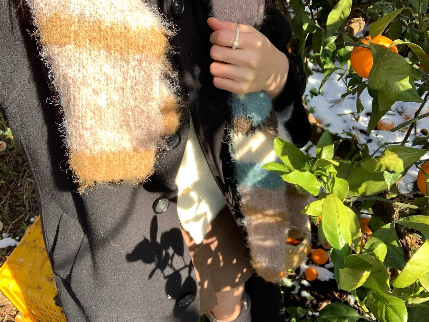 제주 도🍊❄️