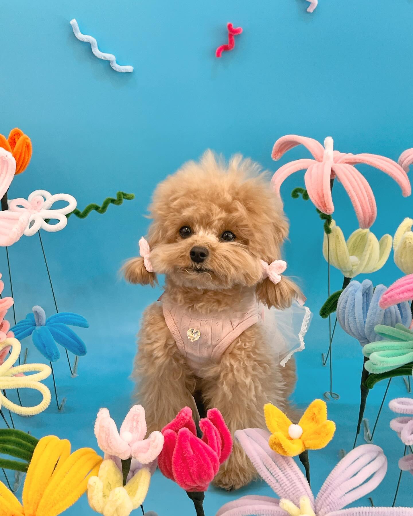 :
오랜만에 로지네 다녀와따➰
포토존이 더 예뻐져따🎀💙

🏷️ o.my_rozy 
🏷️ dd_amddam