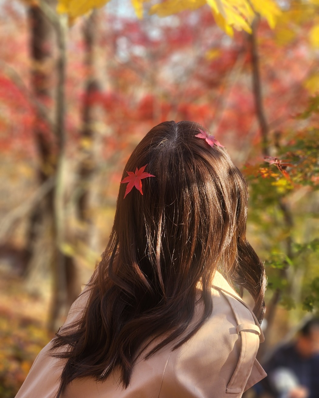 화담숲 가을 단풍축제 막차 탑승 완료! 🍂🍁😍

#화담숲 #화담숲단풍 #단풍축제🍁 #가을단풍🍁 #가을단풍명소 #가을단풍여행