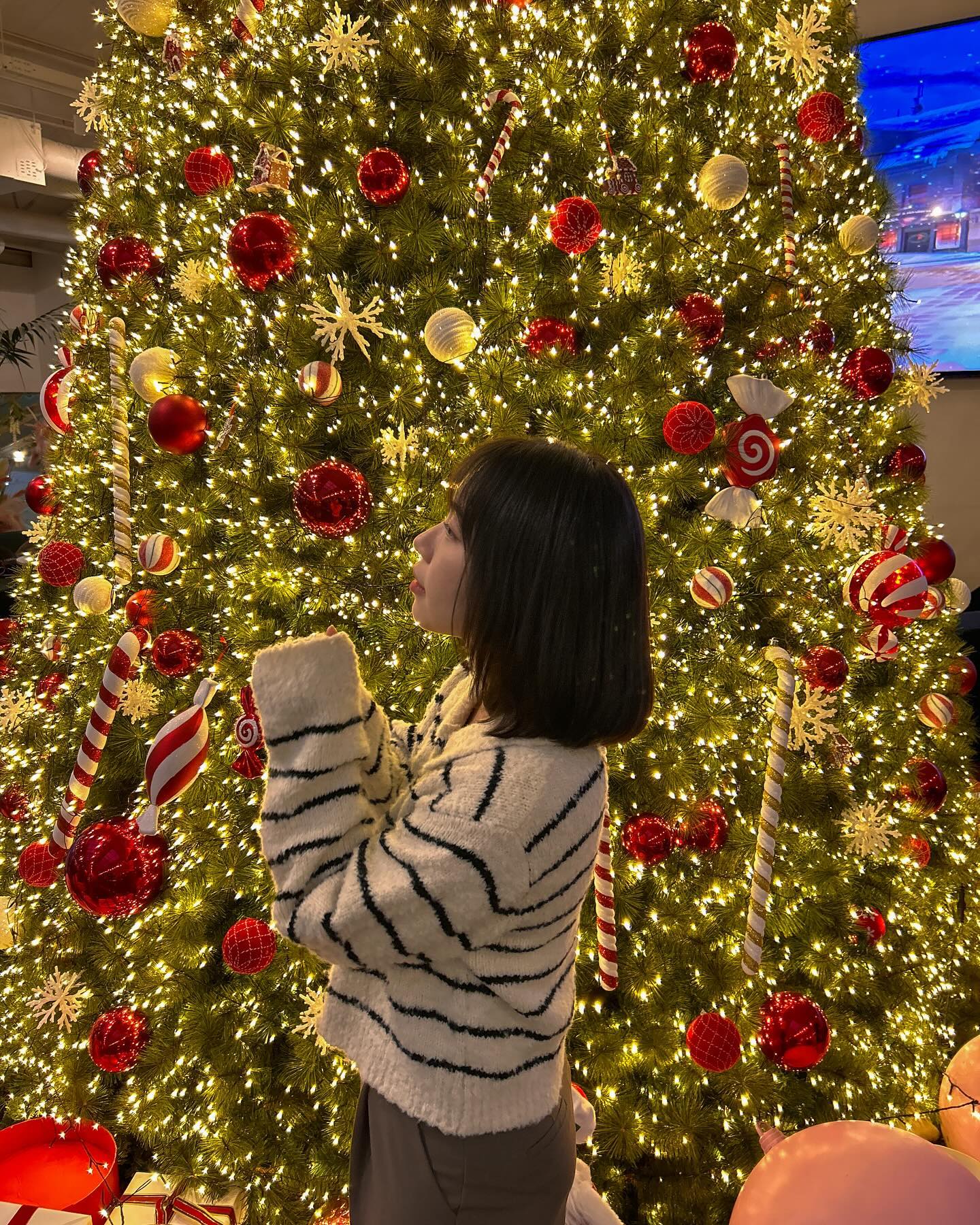 크리스마스 모음집🎄