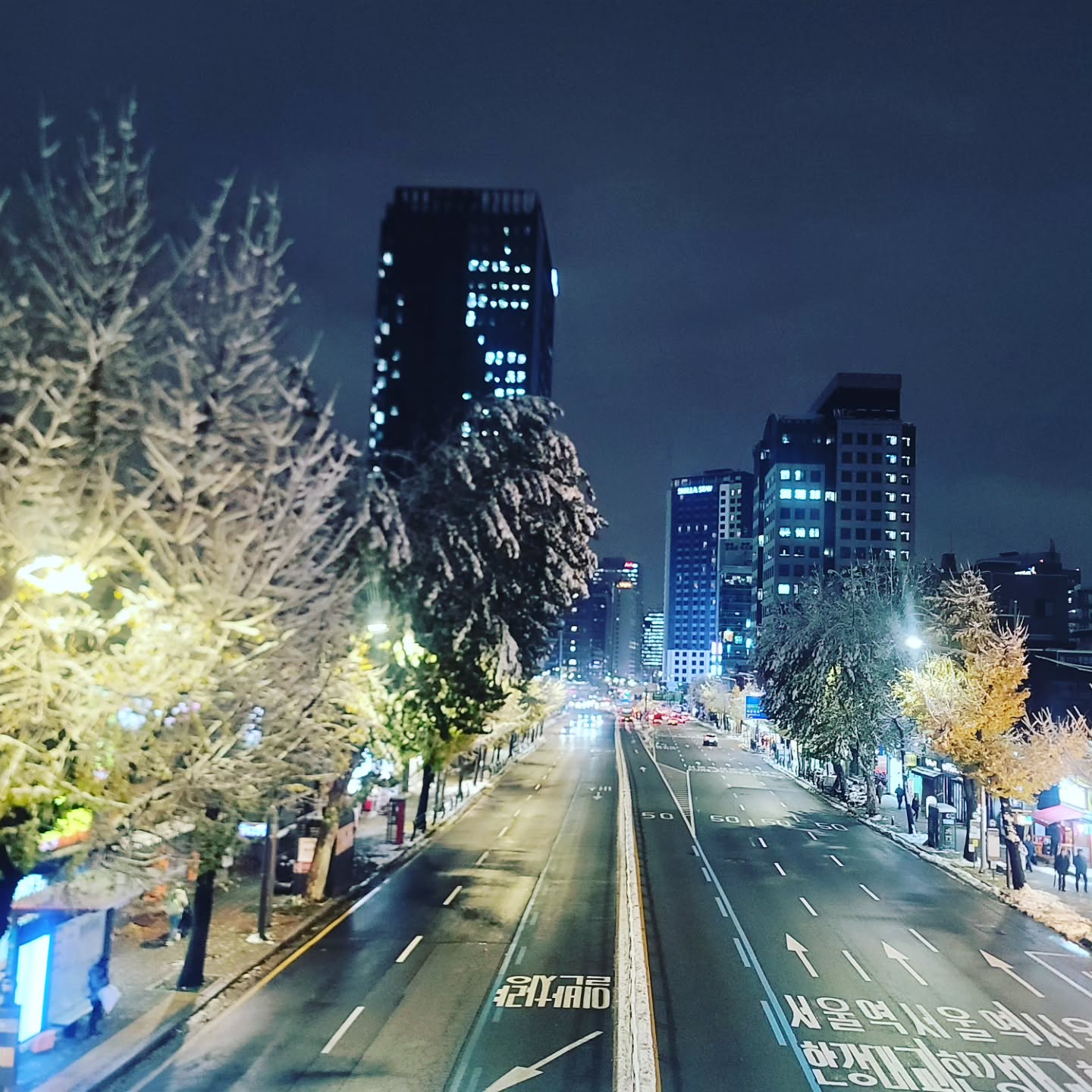 눈내리는 도시의 겨울밤은 조용해서 좋다❄️❄️❄️
.
#겨울밤 #눈내려요