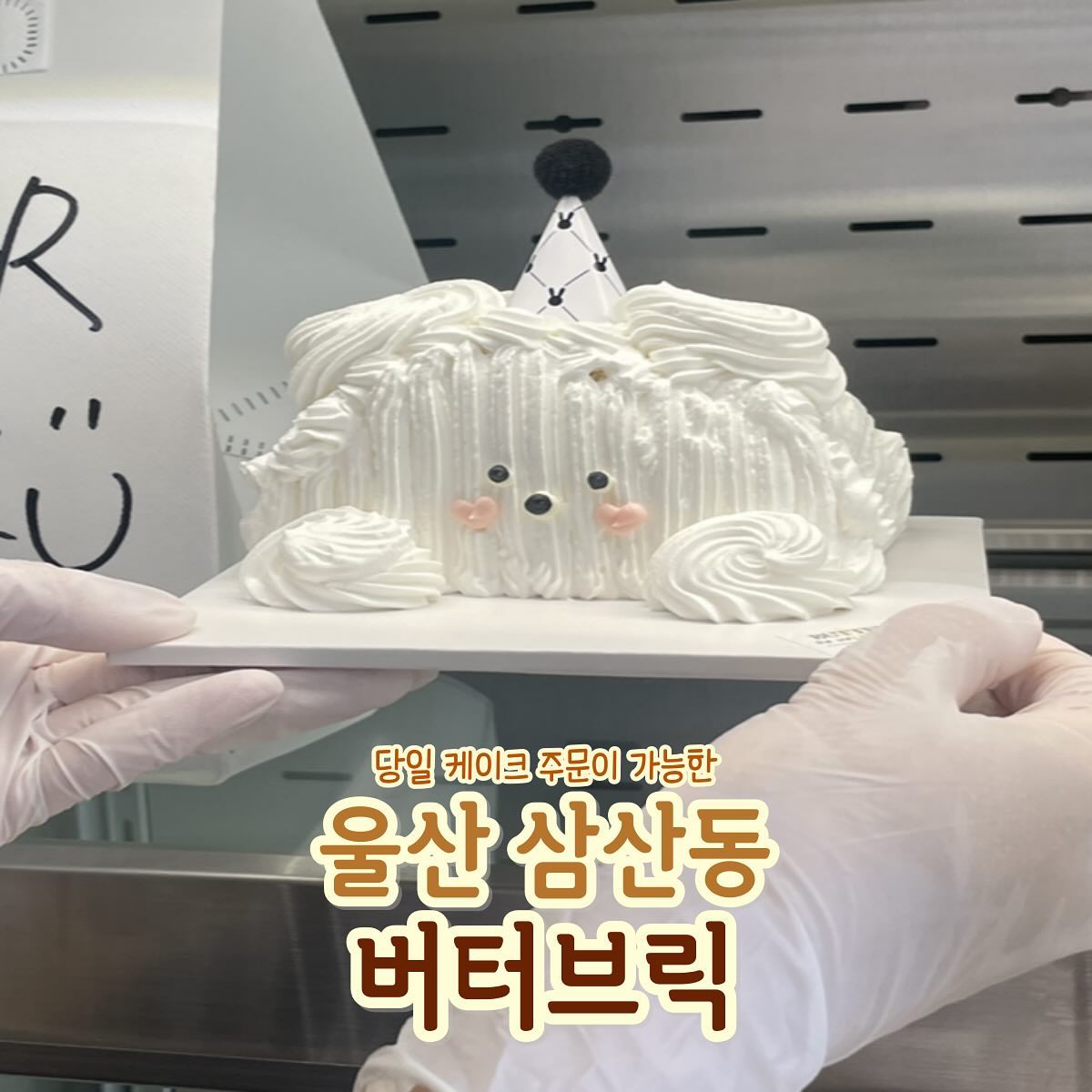 #응지랑_울산

울산에서 당일케이크 주문이 가능한 곳🎂
이렇게 귀여운 당일 케이크 퀄리티..
분명히 본적없다고 생각합니다..!!
레터링 케이크도 퀄리디 미쵸따🩵🤍
지금당장 케이크 선물 필요한 사람
여기로 다 모여⭐️⭐️

📍버터브릭
🏡 주 소 : 울산 남구 삼산중로48번길5
⏰ 영업시간 : 매일 12:00 ~ 22:00
🚫 정기휴무 : 매주 화요일 정기휴무
📞 전화번호 : 0507-1359-3681
🚗 주 차 장 : 가게 앞 유료주차장