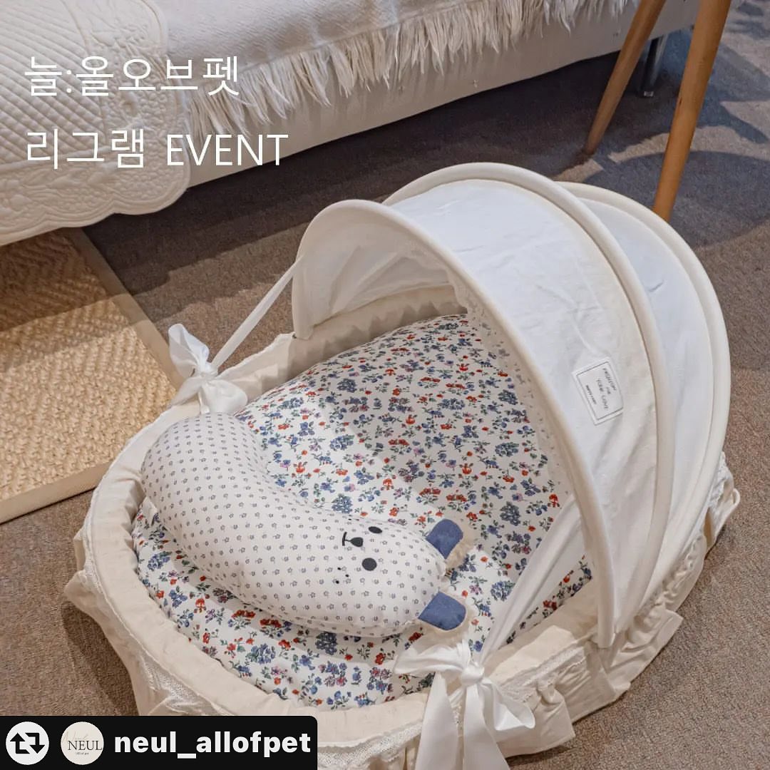 #리그램 - neul_allofpet by get_multi_repost
Neul_all of pet [Event]

우리 아이들의 설날이 돌아오고 있어요
세뱃돈 대신 늘올오브펫에서 준비한 리그램 이벤트로 우리 아이들에게 선물을 해보는건 어떨까요🤗

우리 아이들의 보금자리를 책임져줄 화이트하우스
우리 아이들의 휴식공간을 책임져줄 슈슈쿠션 
우리 아이들의 수면을 책임져줄 반달필로우

자세한 이벤트 참여방법은👇

👉이벤트 참여방법

1.neul_allofpet 인스타를 팔로우 해주세요
2.해당 이벤트 게시물`좋아요💙`를 꾹 눌러주세요
3.본 포스팅 사진과 내용,태그 모두 자신의 계정에 리그램 해주세요!
4.댓글에 후기를 아주 잘 쓸 수 있다는 다짐을 적어주세요
5.댓글에 참여완료 멘트와 함께 원하는 상품을 남겨주시면 참여완료!
6.당첨 되신분께서는 제품 수령 후 솔직한 후기사진과 피드와 릴스 영상을 올려주세요!

🔎프로필 링크를 통해 홈페이지 접속 후 다양한 상품을 확인해보세요

⭐️댓글에 소개해주고싶은 @친구태그 시 당첨 확률UP💯

⭐️비공개 계정/체리피커/해외계정 등 당첨에서 제외됩니다.

□참여기간 : ~2월9일(금)까지
□당첨자 발표 : 2월13일(화)
□당첨인원 : 3명
-1등 : 화이트하우스(1명)
-2등 : 슈슈쿠션(1명)
-3등 : 반달필로우(1명)색상 랜덤