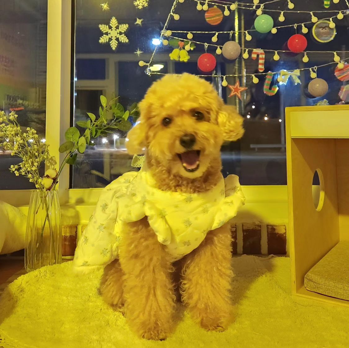새로운 최애카페 찾았다🌟