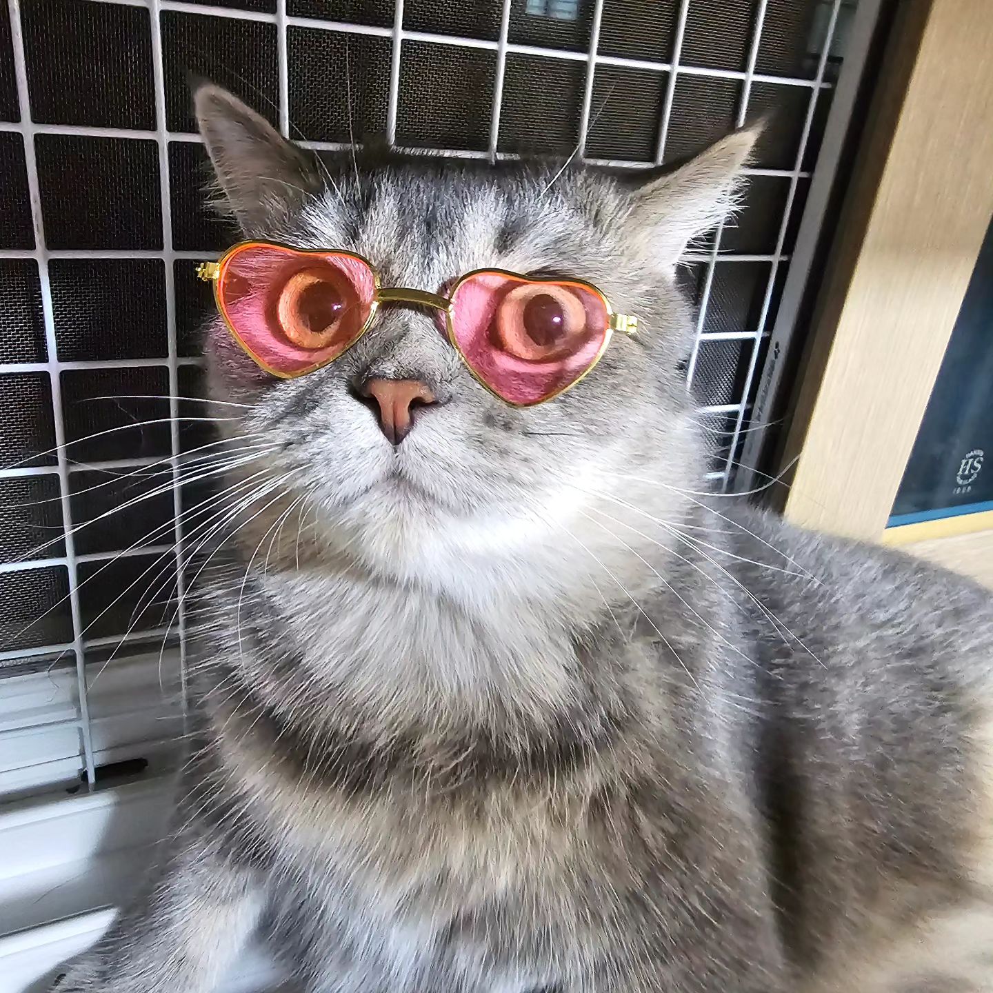 까리하게 썬구리 함 써봤따!😎
바로 고장남ㅋㅋㅋㅋ