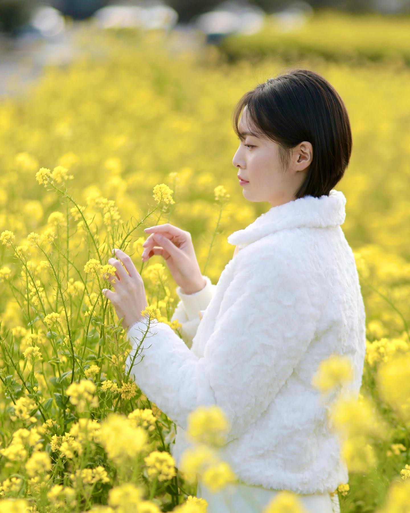 제주는 유채꽃으로 노랑노랑해요🌼

Photo by photographer_kimiljoo