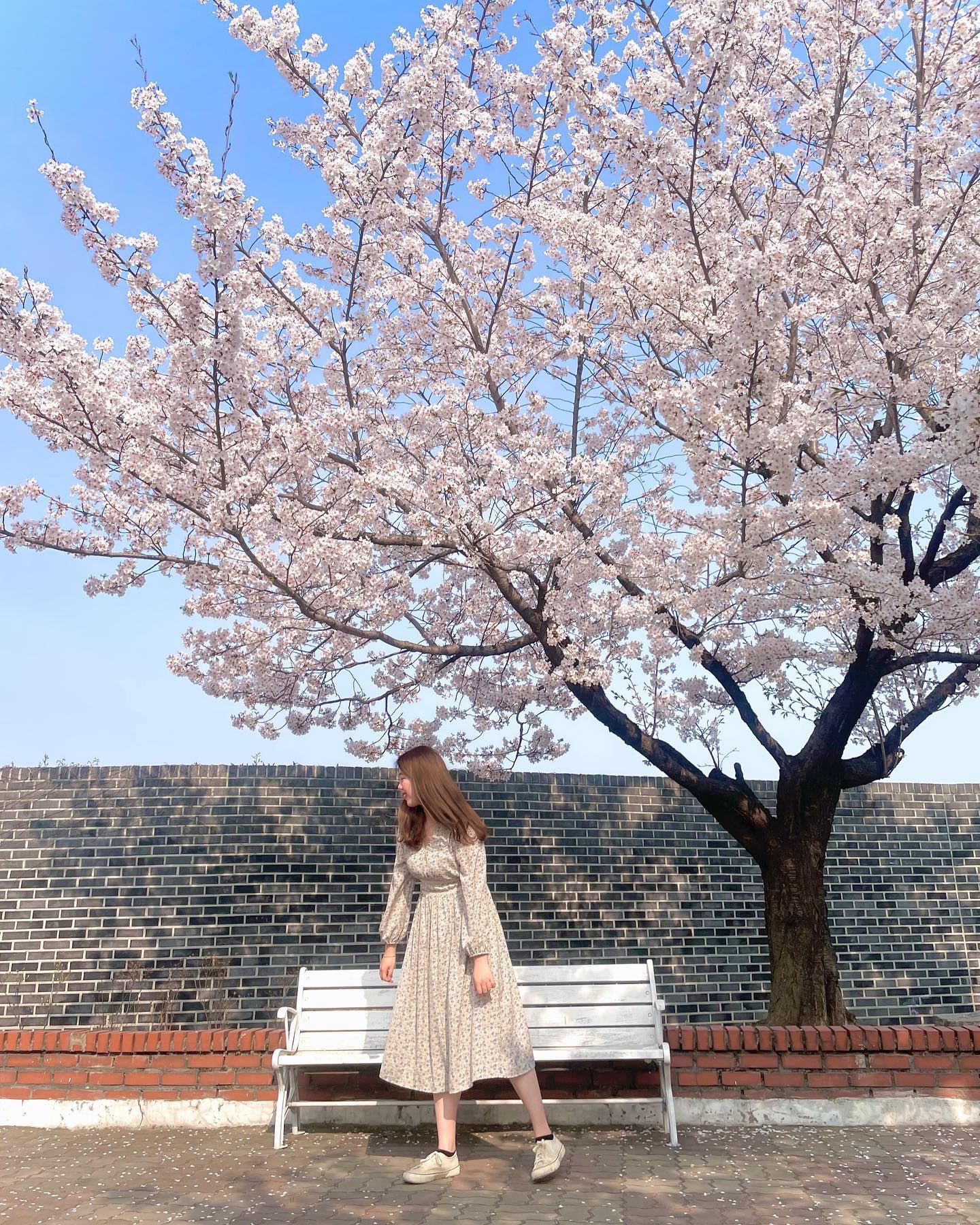 올해첫 벚꽃🌸
-
-
-
-
#정독도서관 #벚꽃명소 #북촌