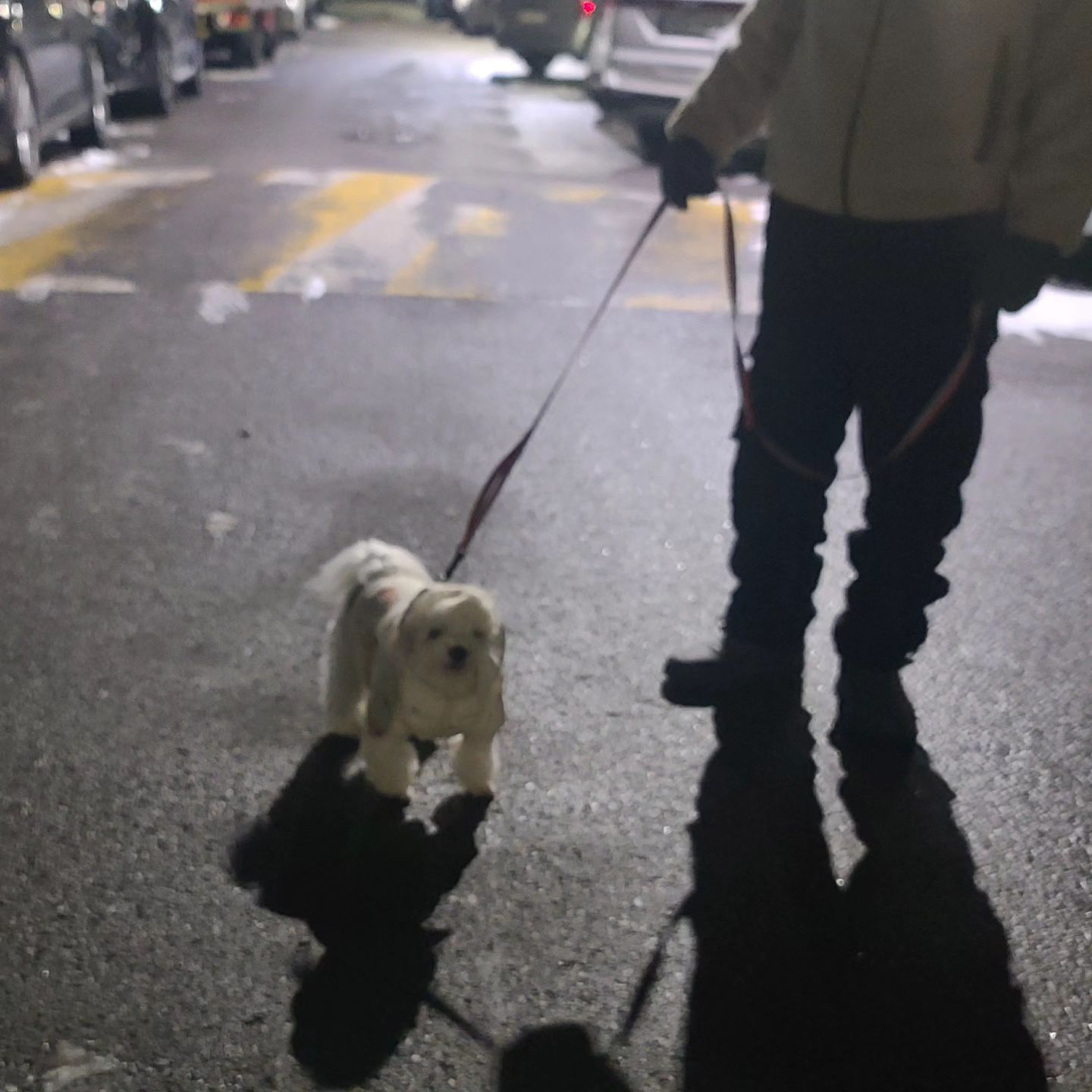 뚱땅뚱땅