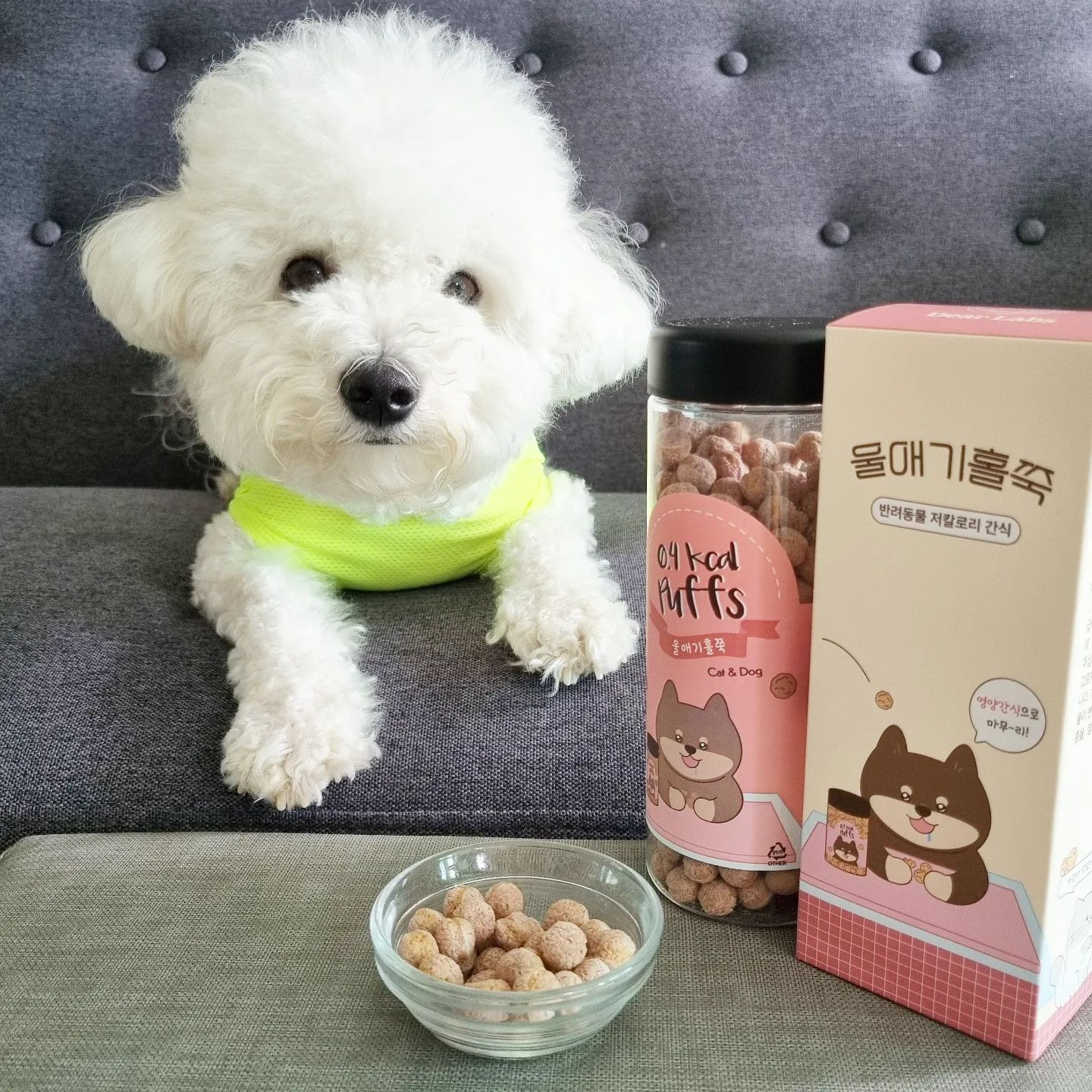 #협찬 
배변 후, 산책 후마다 보상 간식 주는데 부담없는 저칼로리 간식이라 걱정 없이 주게 되는 디어랩스 울애기홀쭉 ~!
불필요한 원료를 빼고 건강한 원물외에는 첨가한 게 없어 더 안심이 되는 간식이네...^^
사람도 먹을 수 있는 맛있는 원료로 바삭하게 뻥 튀겨 만들어서 먹는 재미도 있는 강아지 저칼로리 간식~!
우리 두부 요거 먹고 싶어서 말도 더 잘 듣고 산책도 더 오래 하는 것 같은데?...ㅎㅎ

#디어랩스 #DearLabs dearlabs_official
#울애기홀쭉 #강아지저칼로리간식 #0.3kcal퍼프 #반려동물저칼로리간식 #비만견 #비만묘 #당뇨견