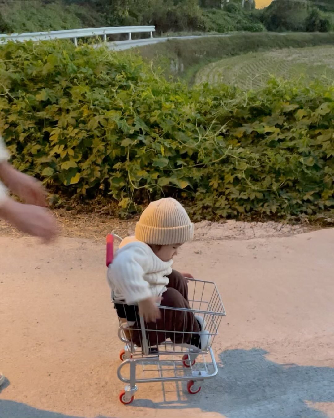 🛒🛒
스토리 하트 잔뜩 받아 기록하는
초히도히 카트사랑.jpg

#비가오나눈이오나
#배달왔어요