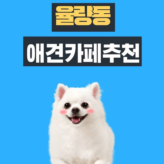 유 호진 on Instagram: "오늘은 청주 율량동 좋은 애견 카페 애견 호텔 애견 유치원 추천

애견 카페, 애견 호텔. 애견 유치원도 같이 가능합니다.

위치는 충북 청주시 청원구 율량로 202번 길 36-2 3층

제 피드에 강아지 관련 피드 보면 해당 강아지는 돌봄에

애교쟁이들입니다. 사람을 진짜 좋아하고 애교도 많아서

진짜 매일같이 사랑스러운 애들 보러 매일 같이 방문하는 애견카페라는 사실

저는 6월에 포메 분양이 계획되어 있어서 저도 돌봄에

우리 소중한 포메 분양하면 돌봄 유치원이나 호텔링도

이용할 예정이어서 믿을 수 있고 시설도 좋습니다!

귀여운 애교쟁이들 사진도 같이 올리기 😍

애견호텔,, 애견 유치원 알아보시는분들. 강추!!

애견카페를 좋아하는 사람도강추!!

@dolbom_ilove3838

#애견카페 #애견호텔 #애견유치원  #율량동돌봄 #청주애견카페 #댕스타그램 #댕댕이 #애견호텔추천 #팔로우 #좋아요  #남자 #여자   #데일리 #daily #일상 #일상스타그램  #소통  #인생  #인생샷 #피드 #ootd #いいですよ #フォロー  #강아지"
