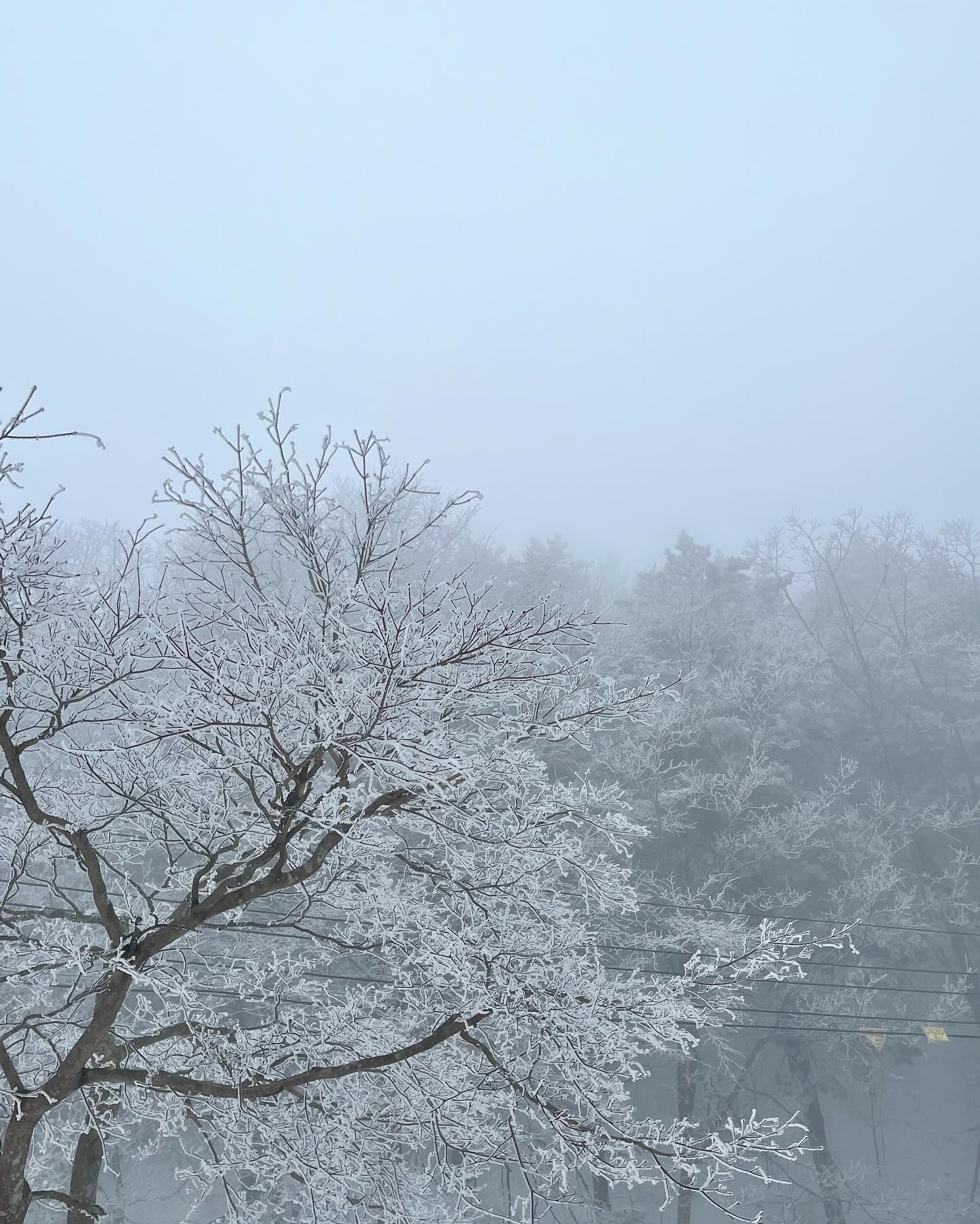 겨울 끝나기 전에 올리고 싶었는데
너무 늦었나?