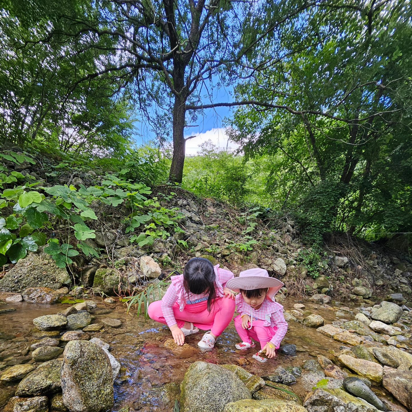 여름 물놀이💦
예쭈니네랑 엉듀이모랑
#지향가든
평상 2개 닭백숙, 닭볶음탕
느릿느릿 나온 음식 먹고 
이모.숙모.삼촌.예쭈니랑
아쥬 신나게 물놀이~♡
너무너무 즐거웠음👍

2024.7.29.월 첫찌+2418(79.13.❤️) 둘찌+1235(40.16.❤️)