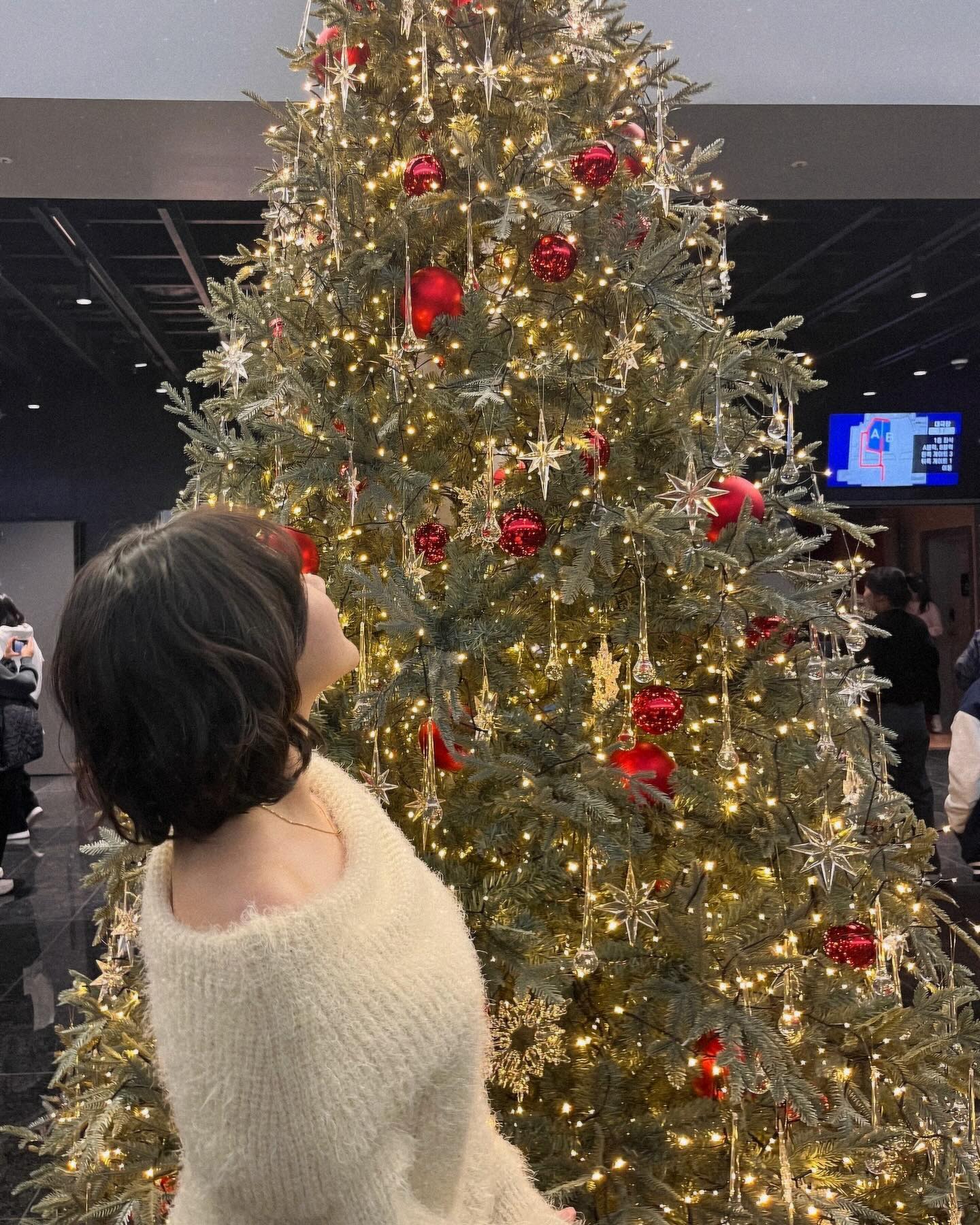 🎄