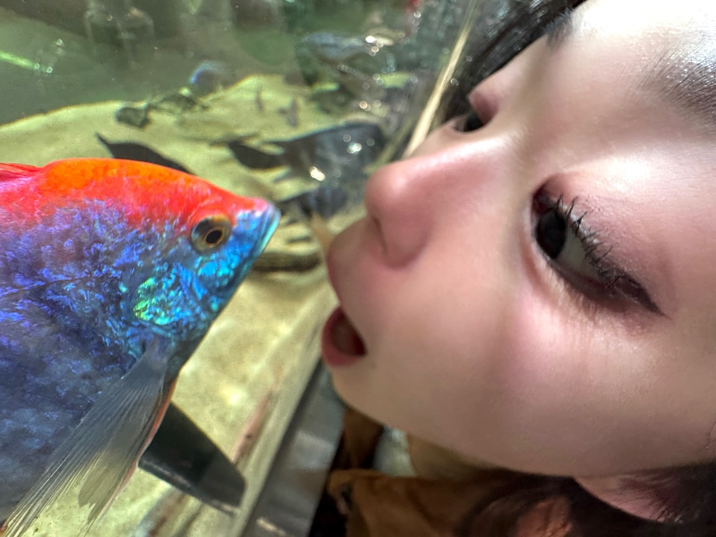 물고기를 한입에 .. 🐠