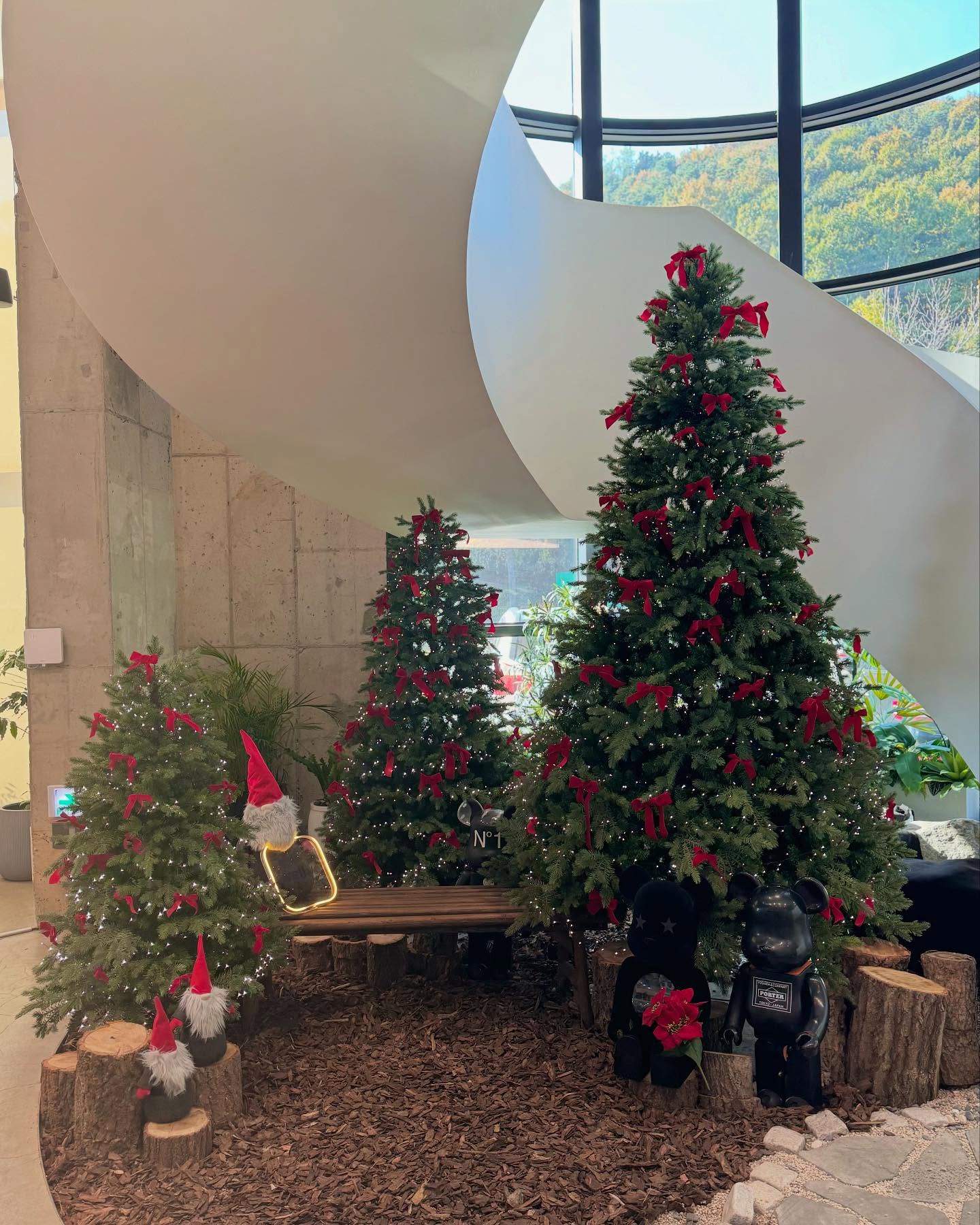 #11월 🎄