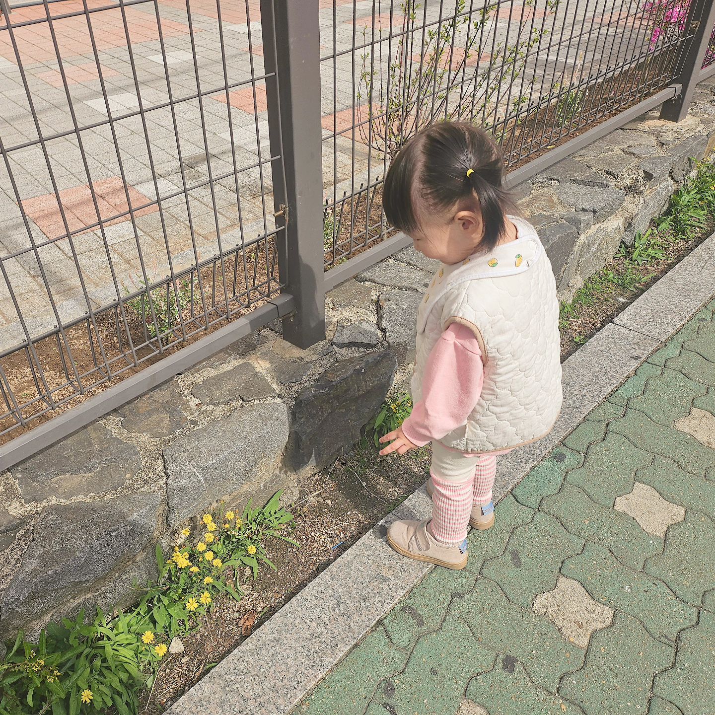 윰차없는 등원길
꽃도 안뇽 🌼
나무도 안뇽 🌳