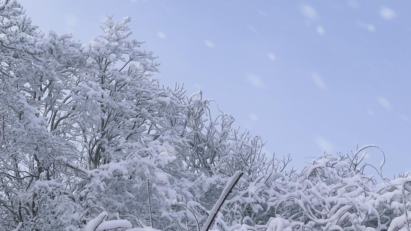 𝓦𝓘𝓷𝓽𝓮𝓻 𝓘𝓷 𝓕𝓮𝓫𝓻𝓾𝓪𝓻𝔂❄️🤍