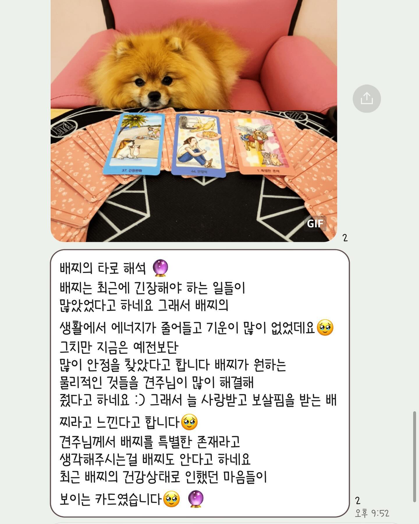 #배찌의멍라이프🐶
이배찌 유치언 122일차 🫶🏻
유쳔에서 타로점을 봤는데 맞는거 같아서 싱기해써요 ㅋㅋㅋ
늘 재밋는 활동 해주시는 우리 유티언 채고 ❤️
