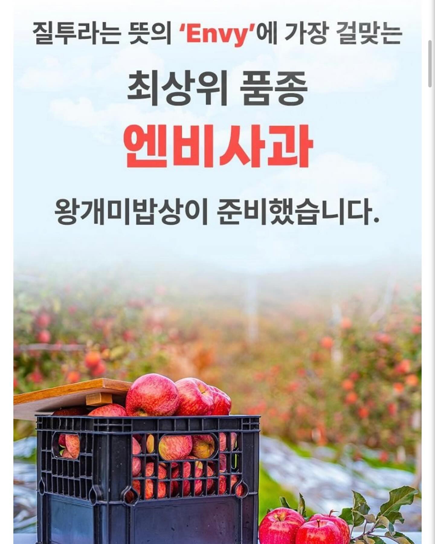 왕개미밥상 “엔비사과”오늘 마감해요🤗

아침에먹는 사과는 금 인거 아시죠? 😍
저희가족은 아침에 무조건 사과 🍎 를 먹어요~~
아이들도 단단한하고 달콤한 엔비사과
너무 잘먹어요 😋😋 엔비사과의 매력을 느껴보셔요☺️

🪧공구일정 : ~ 12/7(목) 까지 

🪧구매및문의는 댓글,디엠 주세요.
​
🚛배송 : 무료배송

#협찬 #왕개미밥상 
#사과 #엔비사과