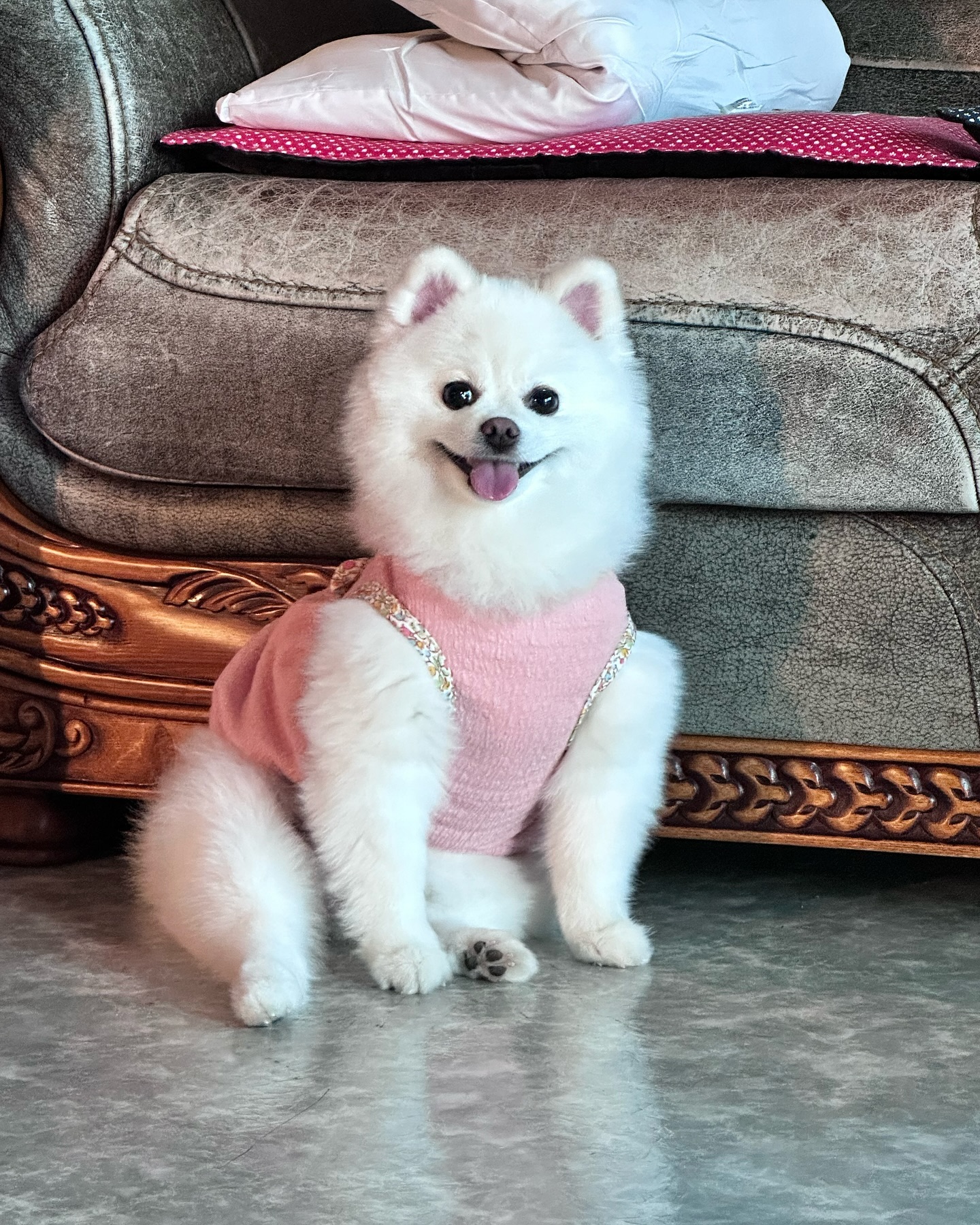 6월 꿀이일상😊