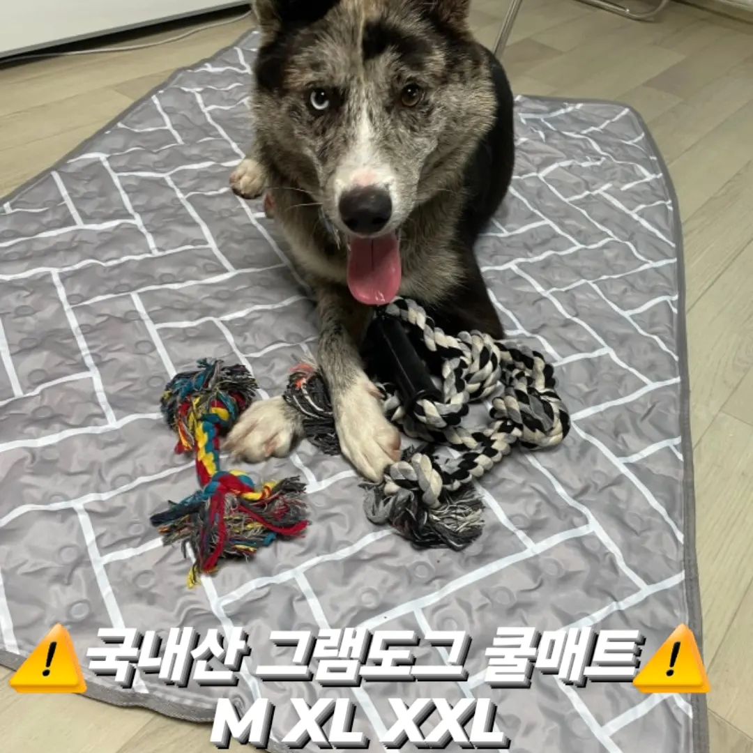 🧊국내산 방수/곰팡이 방지 쿨매트 공구🧊

요즘 강아지들 데리고 나가기엔 살인 날씨에요 ㅠㅠ
화상 입을까 미용도 망설여지고 24시 에어컨 풀가동에도
더워하는 우리 강아지님들 때문에 걱정이 수두룩

여름엔 쿨매트는 무조건이죠 냉장고에 잠시 넣어두고 꺼내주면
주인 껌딱지도 쿨매트에서 꿀잠 자는 매직 
참 우리 강아지들 귀엽죠 ㅋㅋㅋ 시원한거 알고 드러 눕는것이ㅋㅋㅋ

그램도그에서는 남다른 쿨젤 함유량으로 더 폭신폭신한 쿨매트를 만들어 아이들의 선호도를 더욱 높혔어요

국내 제작에 또 인증까지 받은 곰팡이 방지 원단으로 곰팡이 걱정 🚫

아이들은 땀샘이 없어 더위에 아주 취약해요
여름철엔 안전하도 시원한 휴식처는 선택이 아닌 필수 입니다

이번 공구 상품 디자인은 헤링본만 가능해요 

M  22,900➡️18900 (70x45cm) 3~10kg
XL  32,900➡️26900 (90x60cm) 10~20kg
XXL  42900➡️35900 (140x90cm) 20~40kg

공구 기간 : 8월2일~8월5일
상품 발송 : 8월7일부터 순차적 배송

제품 사용 TIP
1. 쿨매트를 샤워기 등을 이용하여 물을 충분히 적셔줍니다
2. 중성세제를 행주나 스폰지 등에 뭍혀 오염된 부분을 가볍게 문들러 줍니다.
3.세제가 남지 않도록 깨끗이 헹군 뒤 그늘에 자연 건조 해줍니다.
(제품 손상을 방지하기 위해 세탁기 사용금지)

🩵주문은 프로필 하단 링크로 이동해주세요🩵

#강아지 #댕스타그램 #댕댕이 #좋아요 #cute #일상 #대형견 #공구마켓 #강아지간식 #공구 #수제간식 #동결건조 #애견간식 #니어플레이스 #소형견 #중형견 #쿨매트 #강아지쿨매트